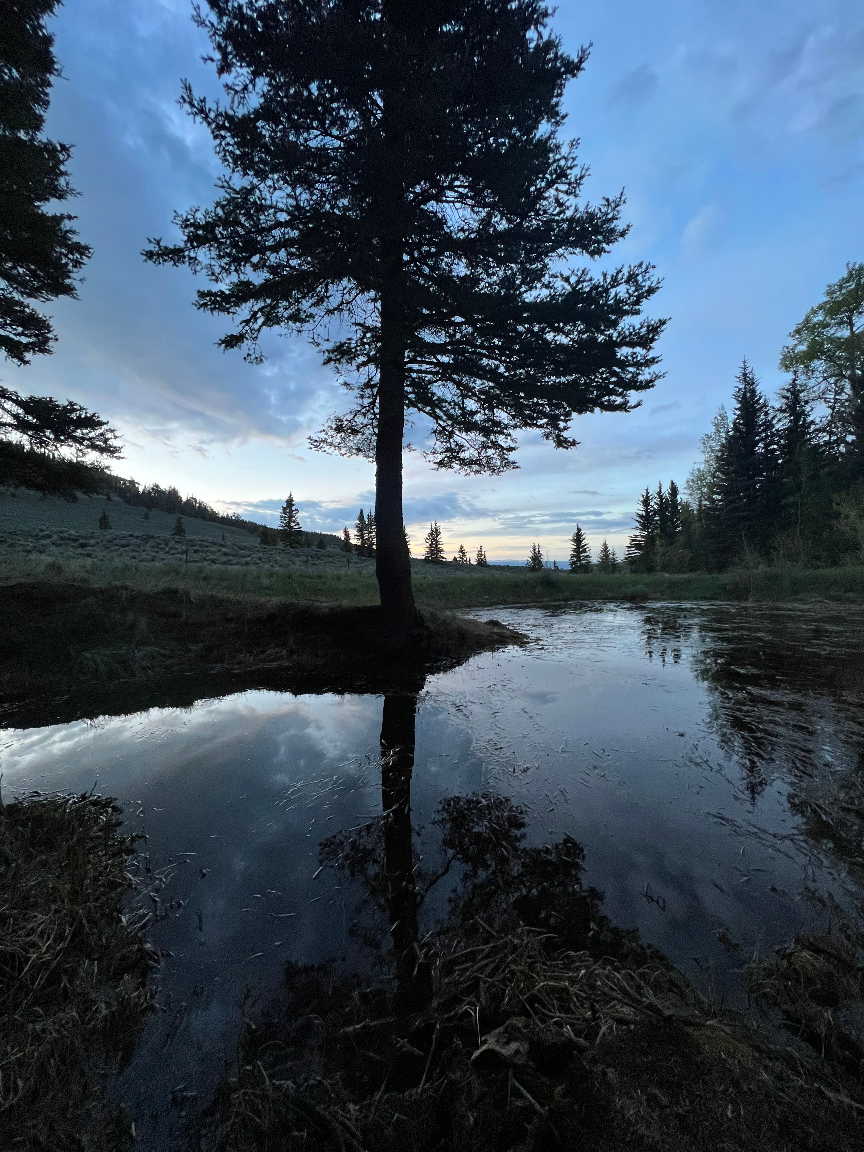 Natural spring provides a peaceful place on the property!