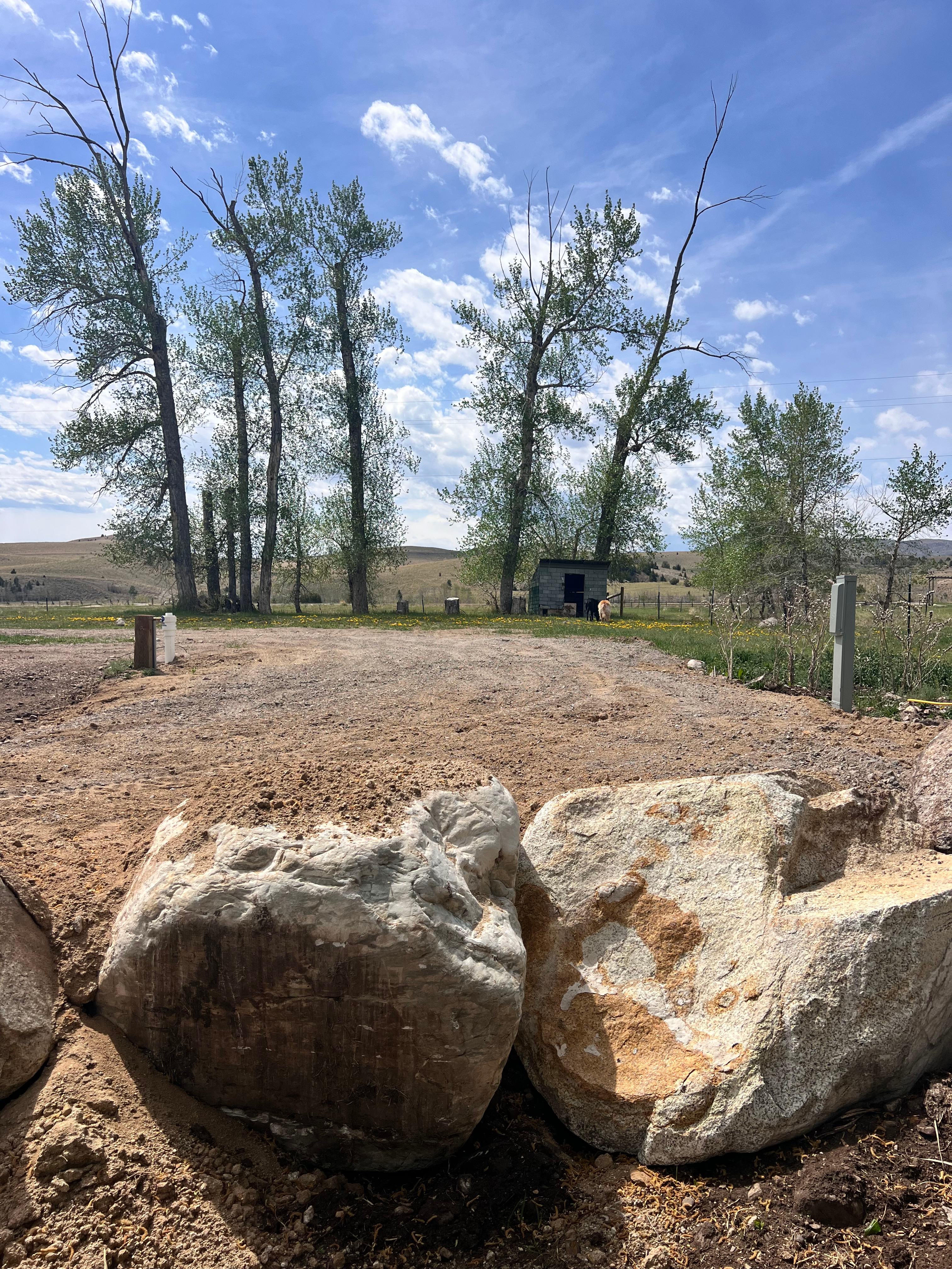 Lost Pines site #1