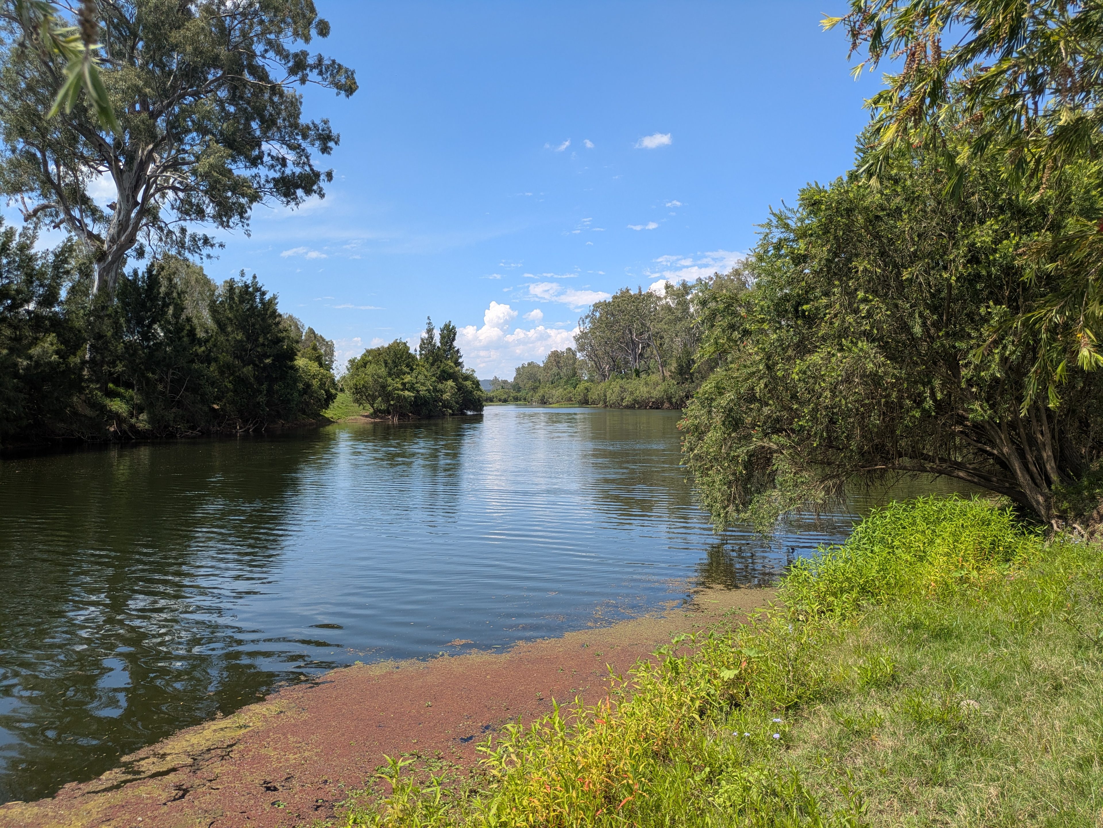 Emu Creek Farm