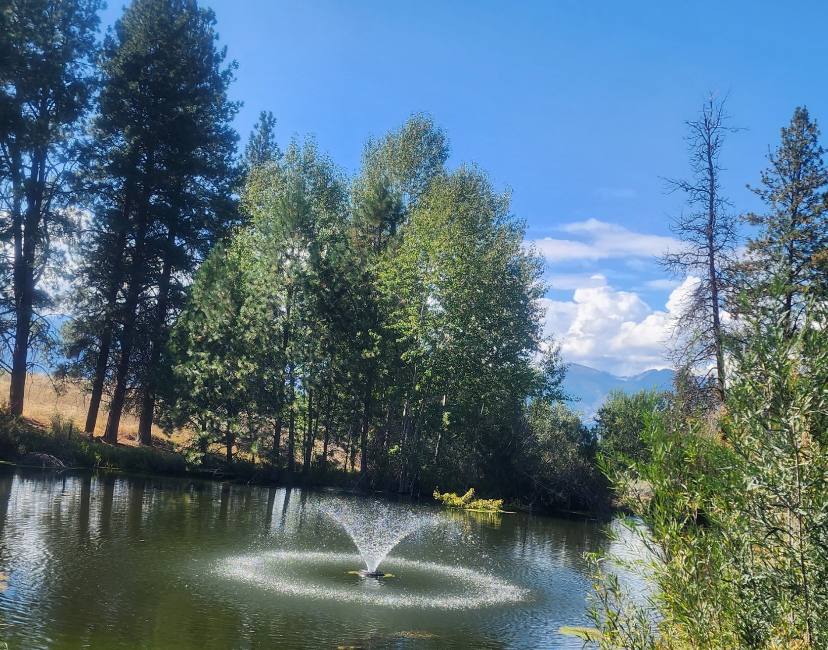 The Pond @ Sapphire Meadows