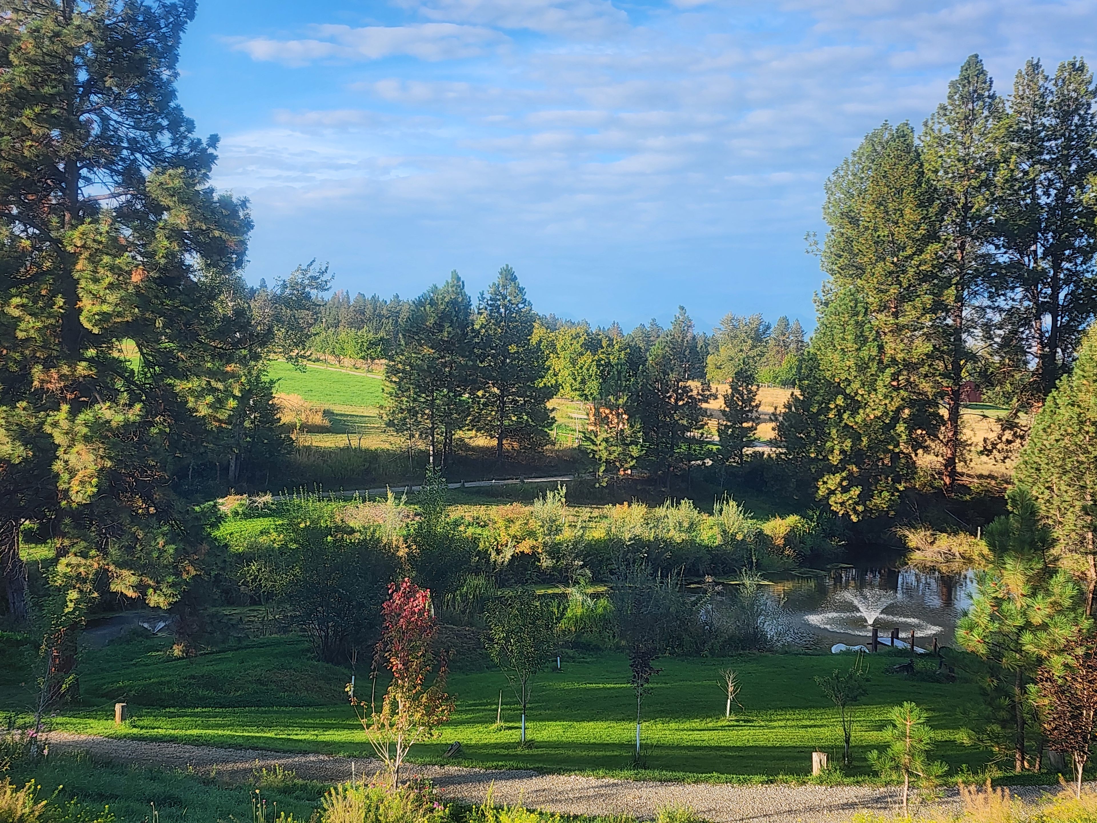 The Pond @ Sapphire Meadows