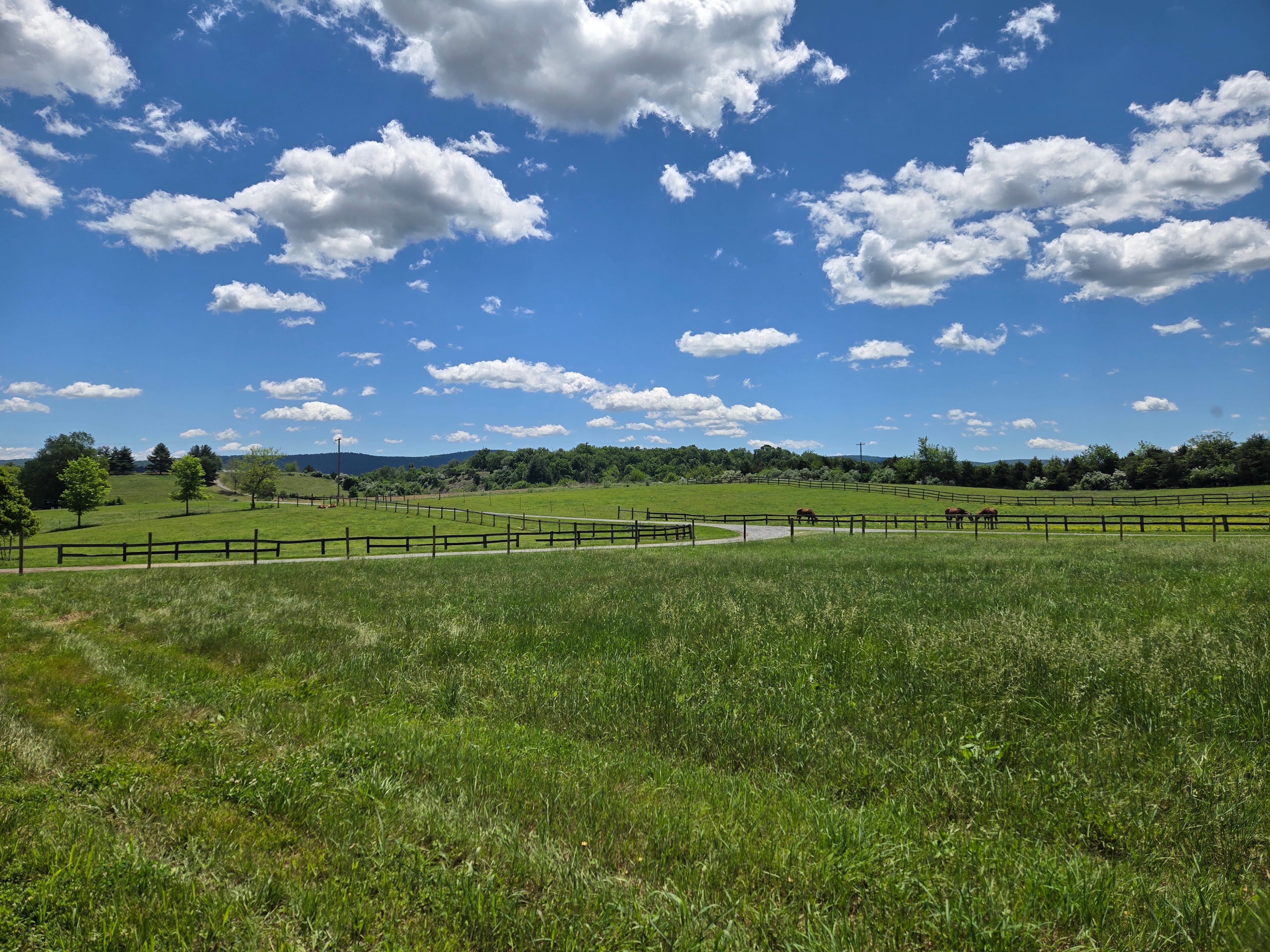 Spring Haven Farm RV site