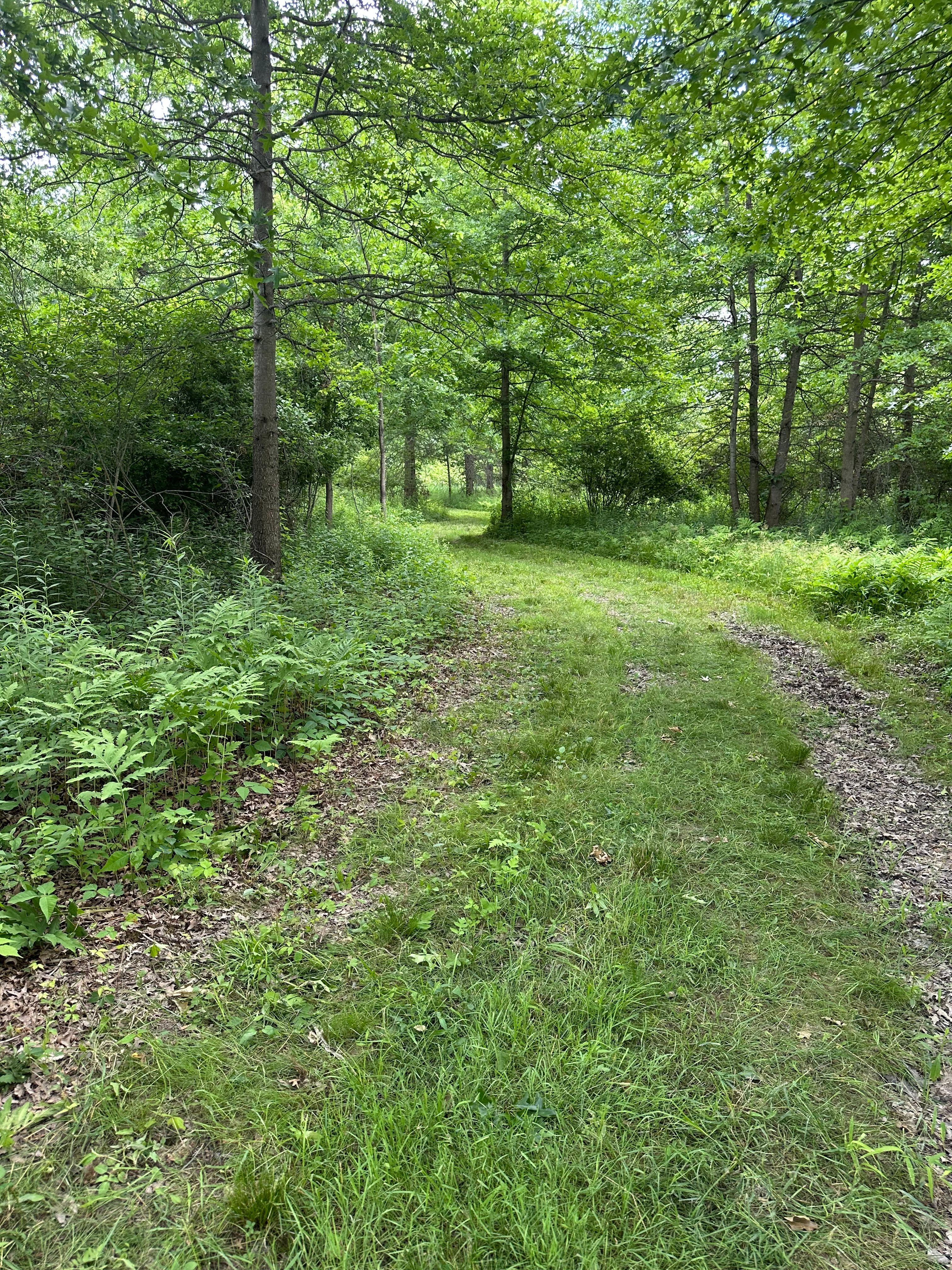 Pneuma Acres