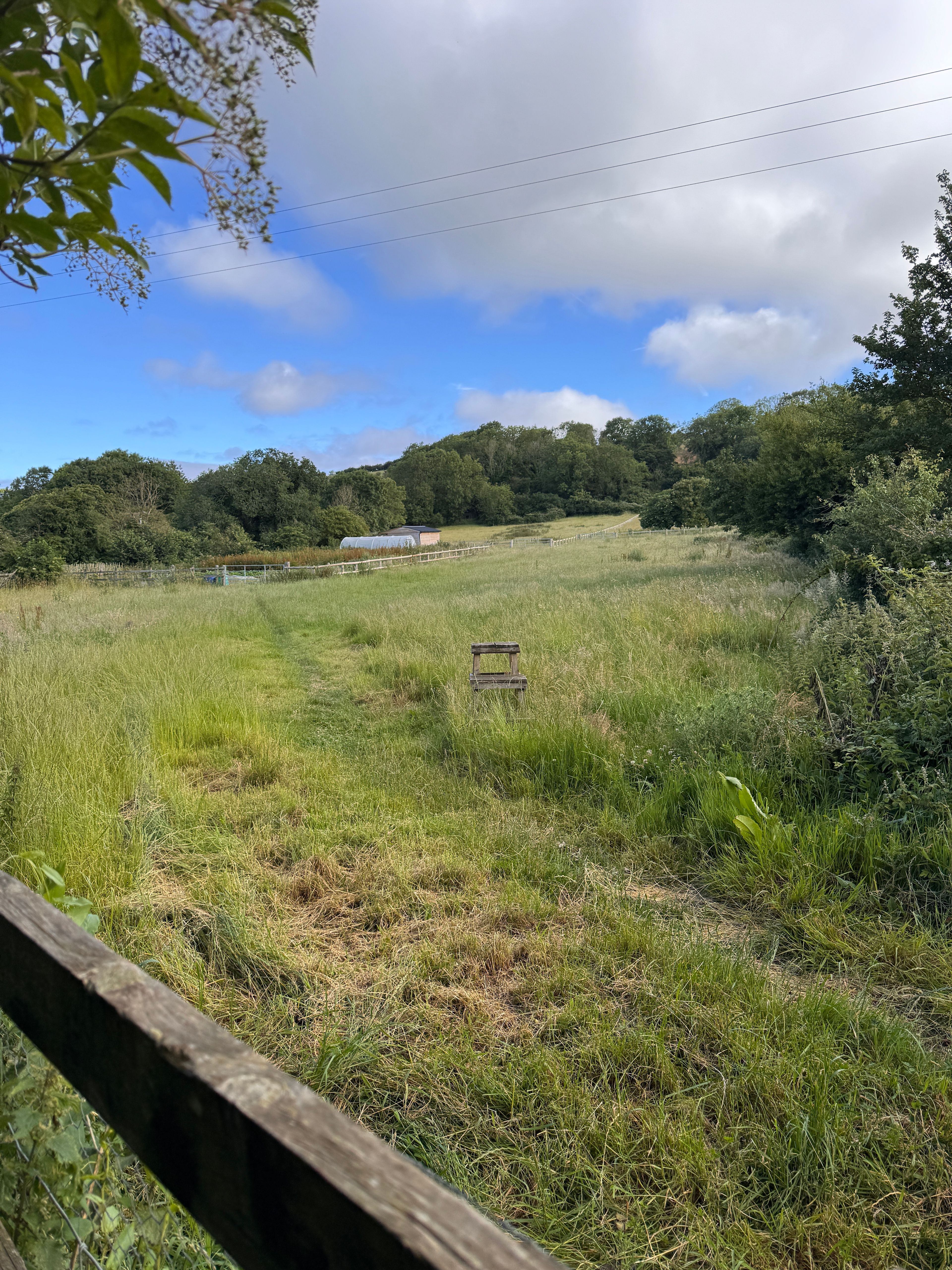 The Hemingway's Field + Woodlands