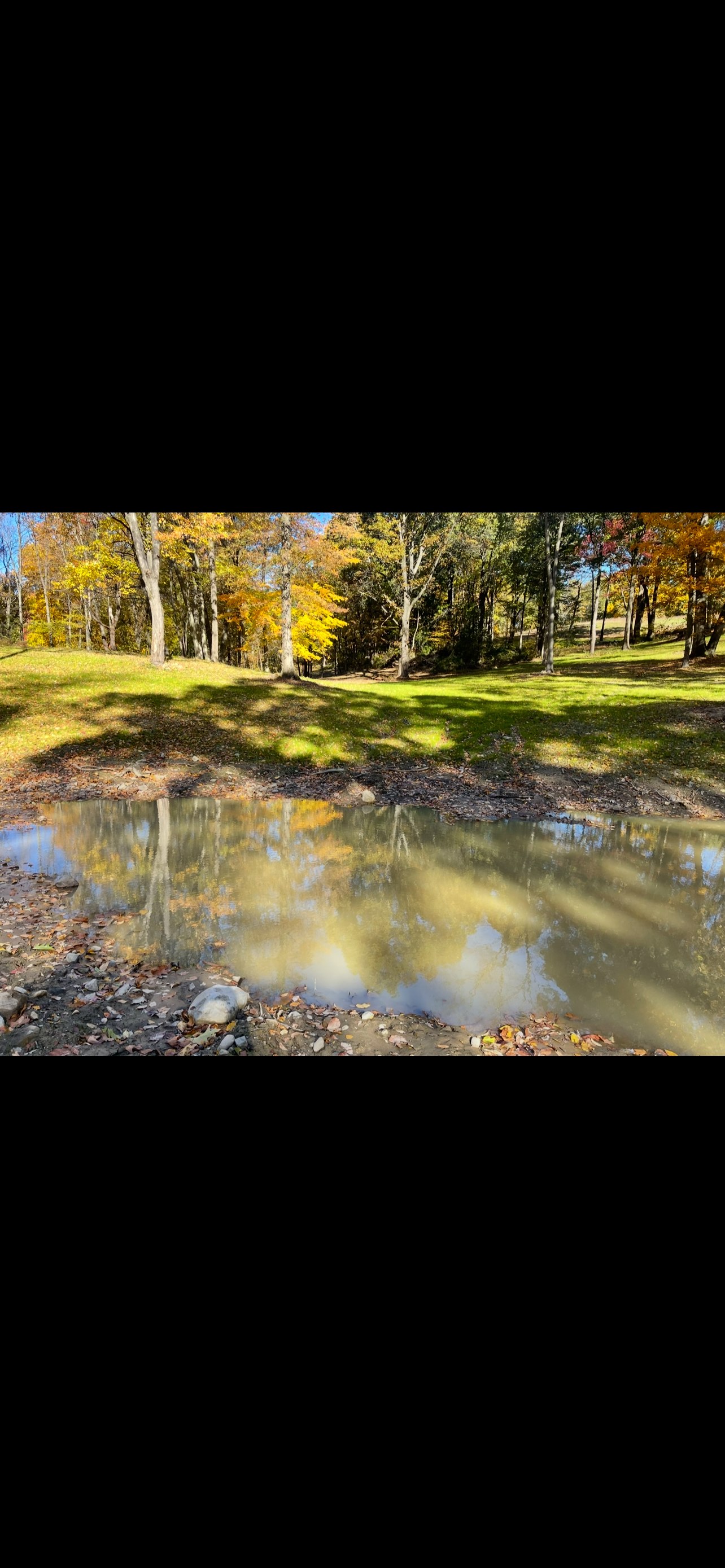 Valley View Farm