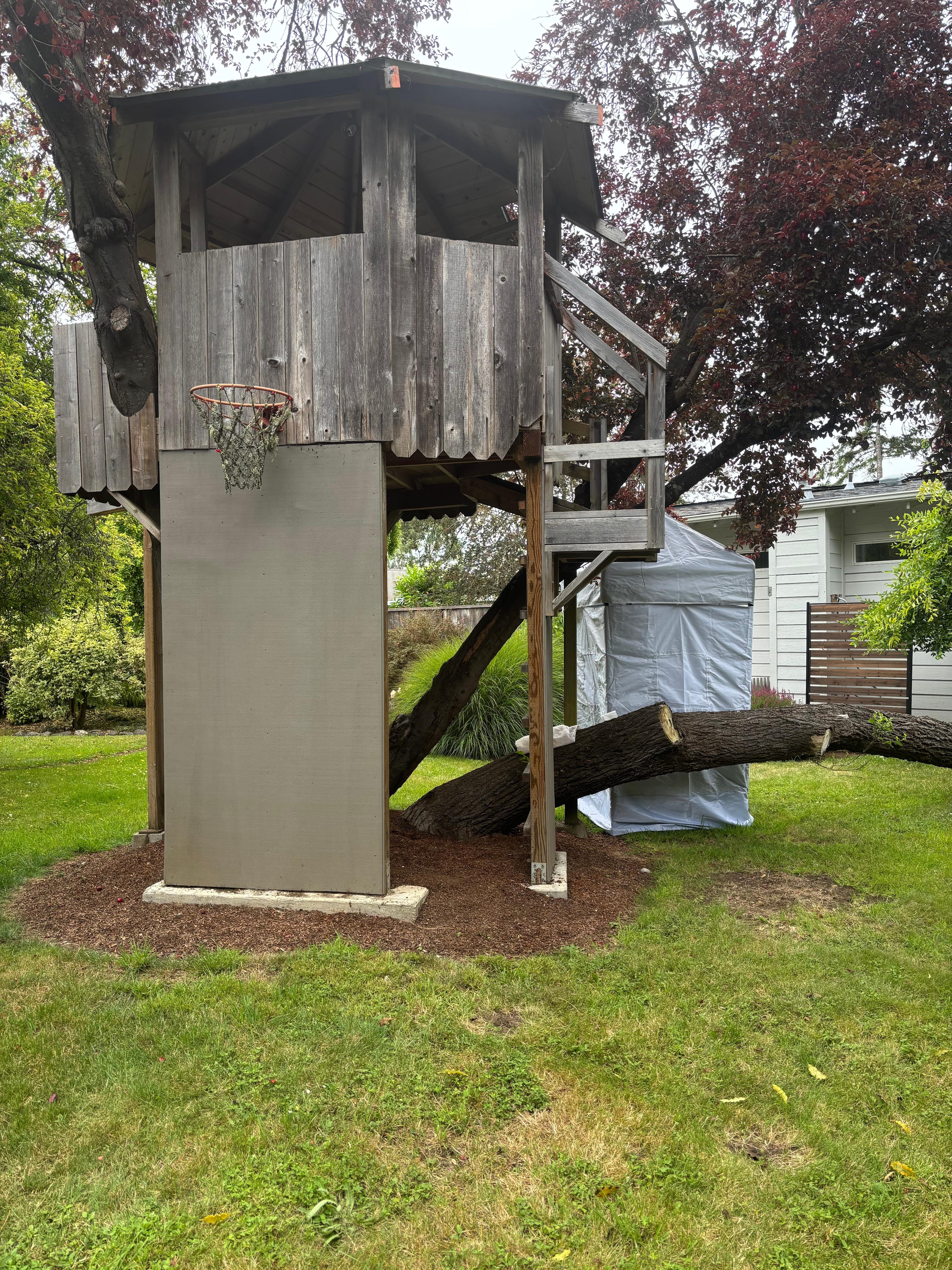 Treehouse for the Thrifty Adventurous Traveler