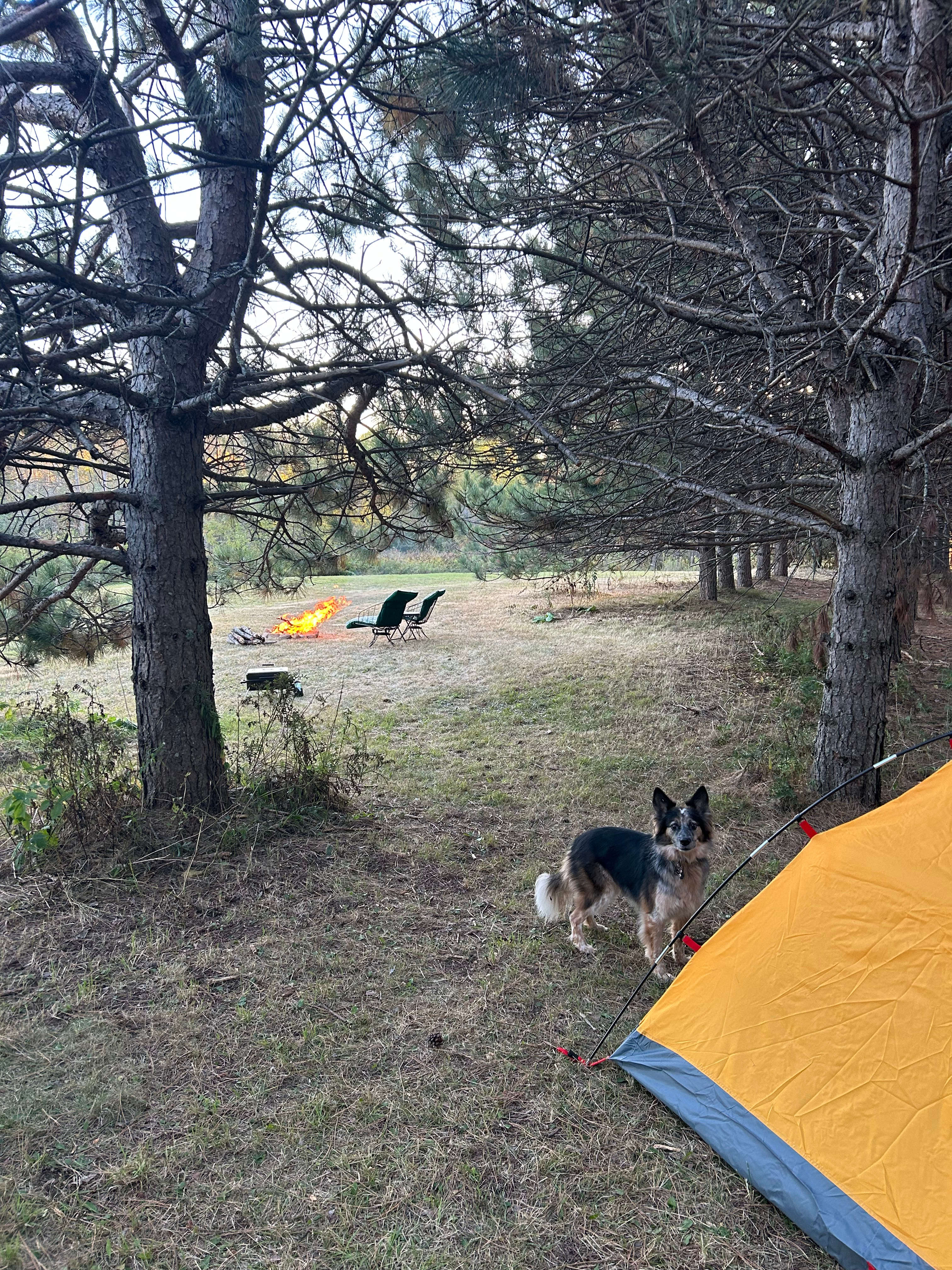 Off Grid Star Gazing
