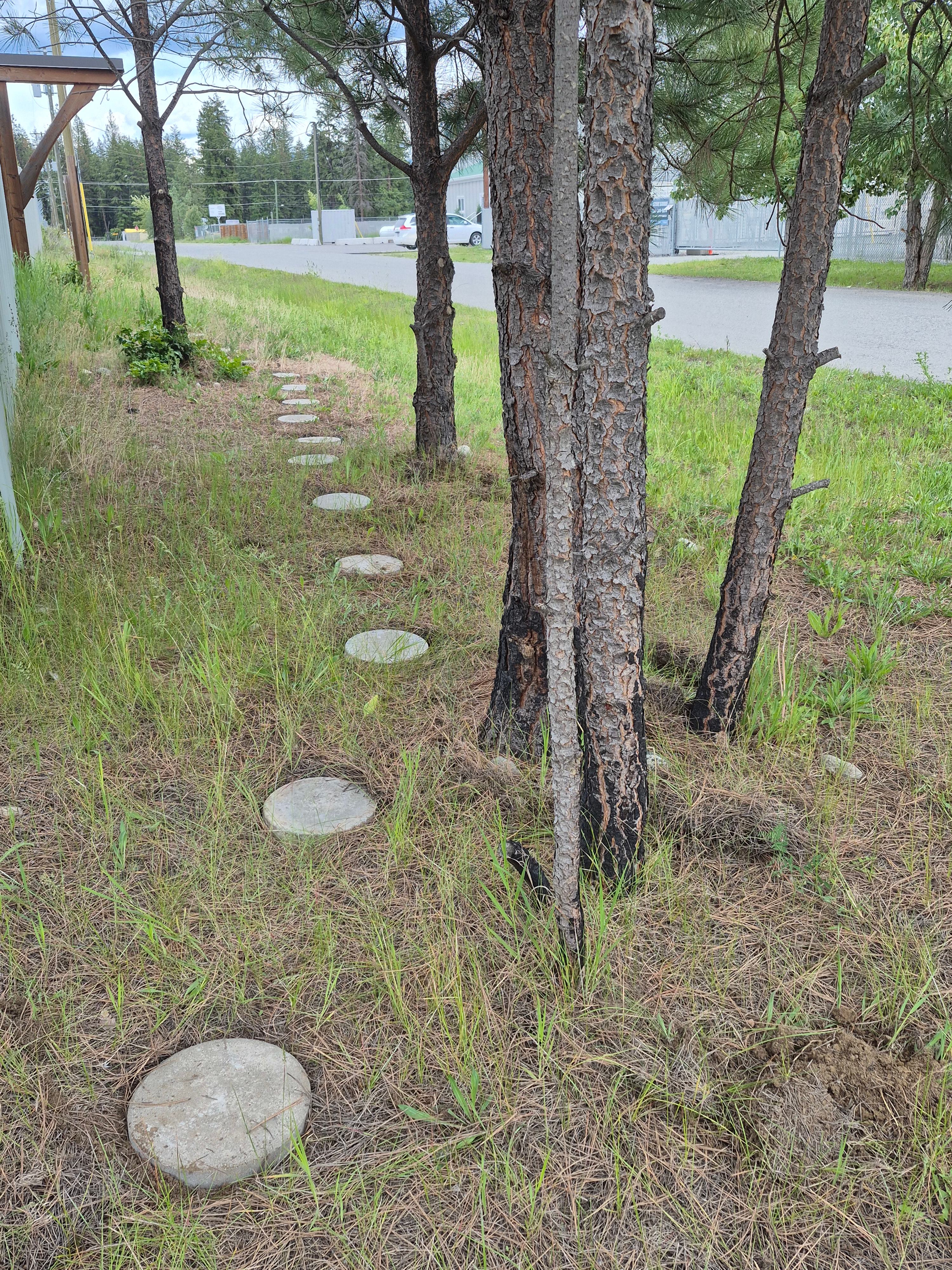 Pathway from parking