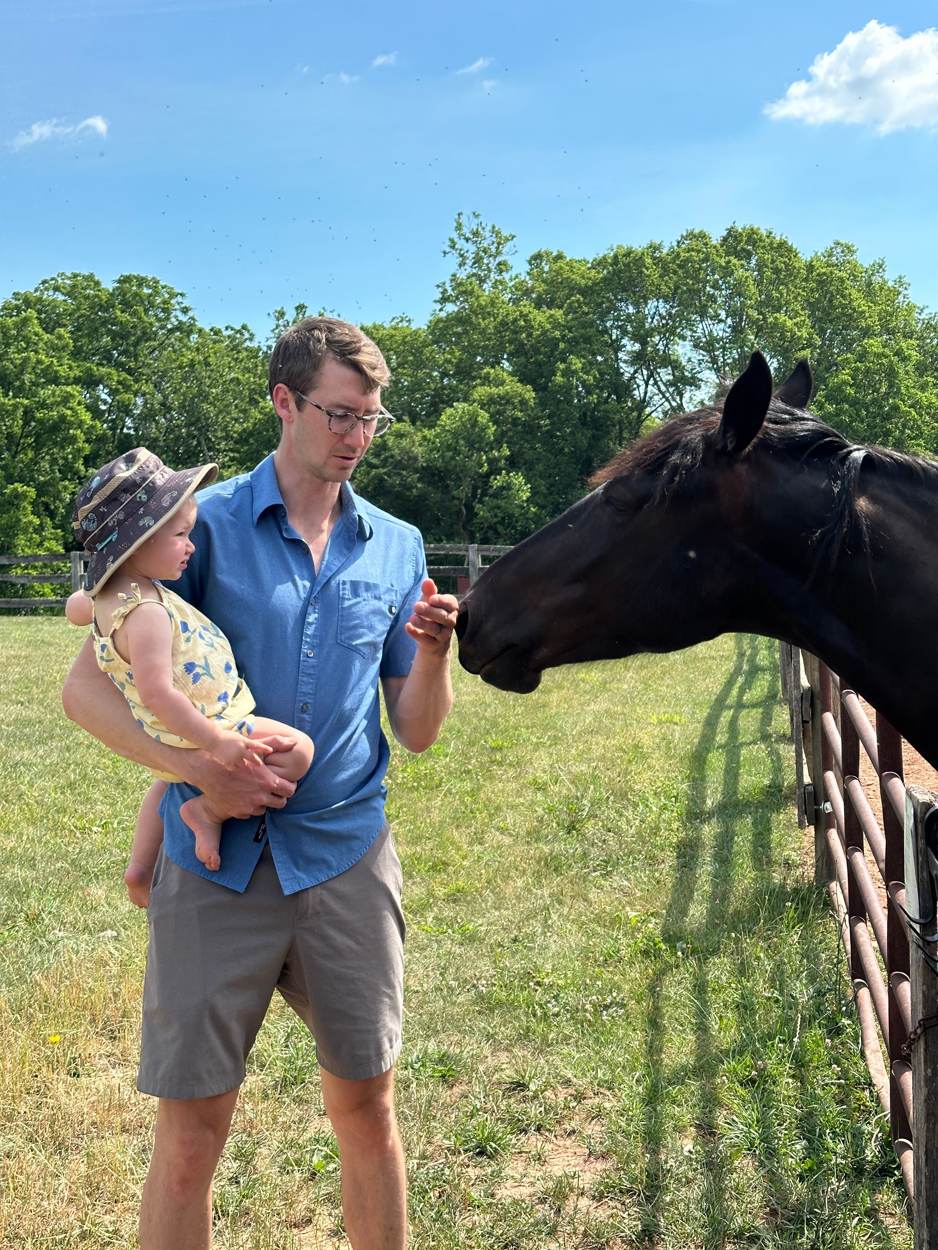 Alpaca acres