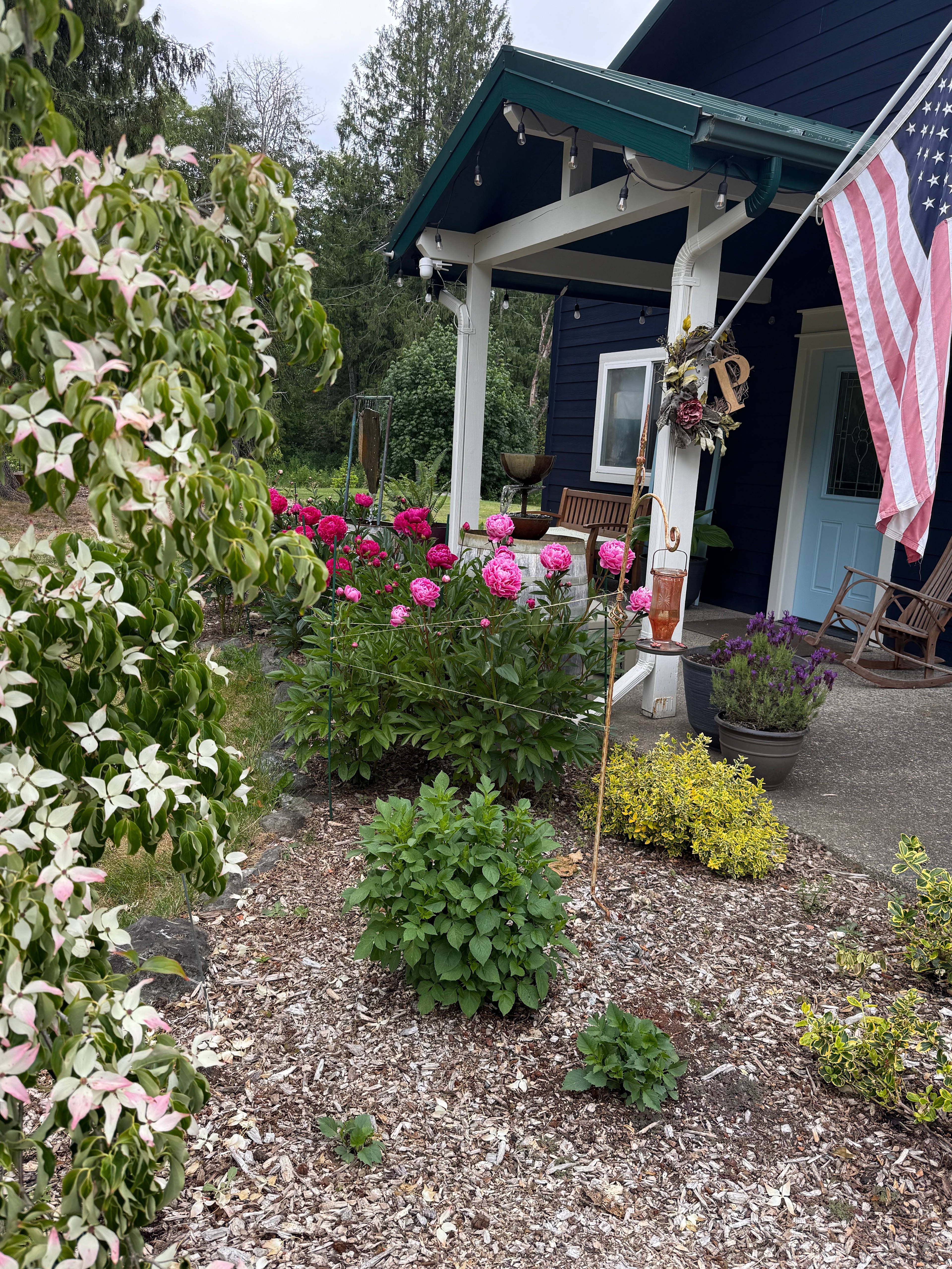 Candelaria, Port Angeles