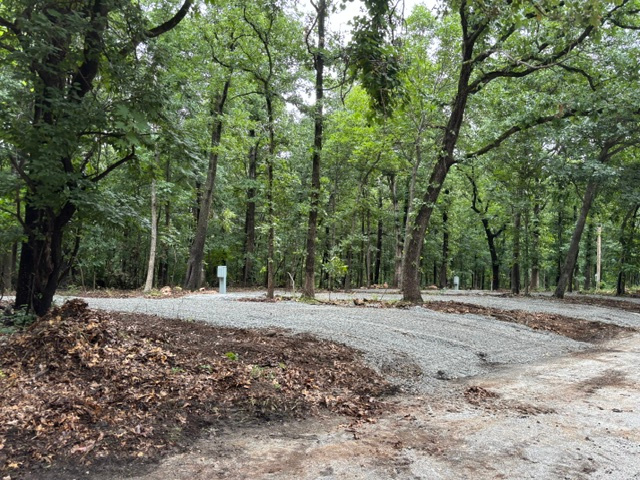 Wooded Lake Property