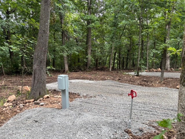 Wooded Lake Property