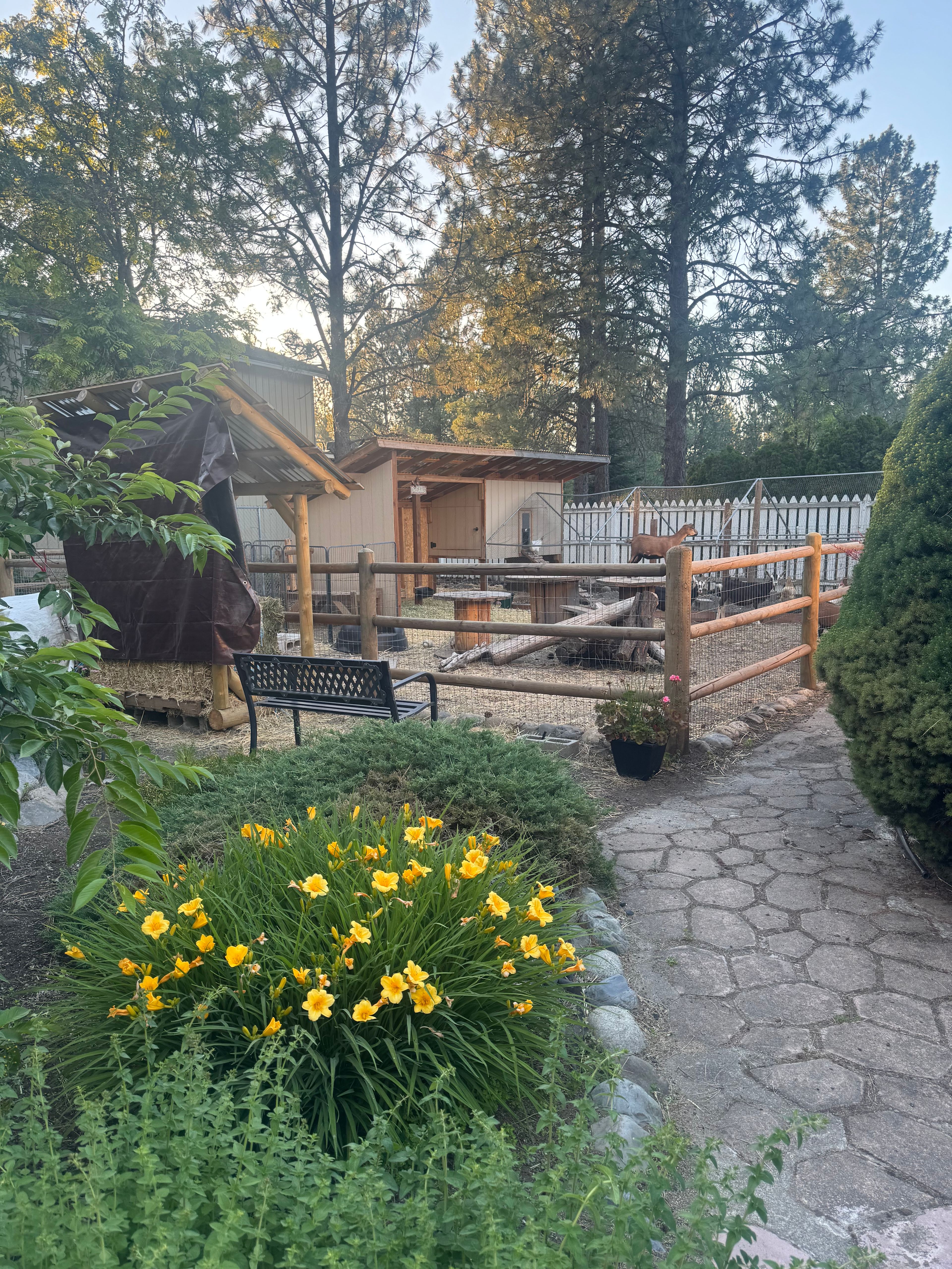 Goat Meadow Retreat