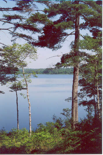Great Pond Cabins near Acadia Park