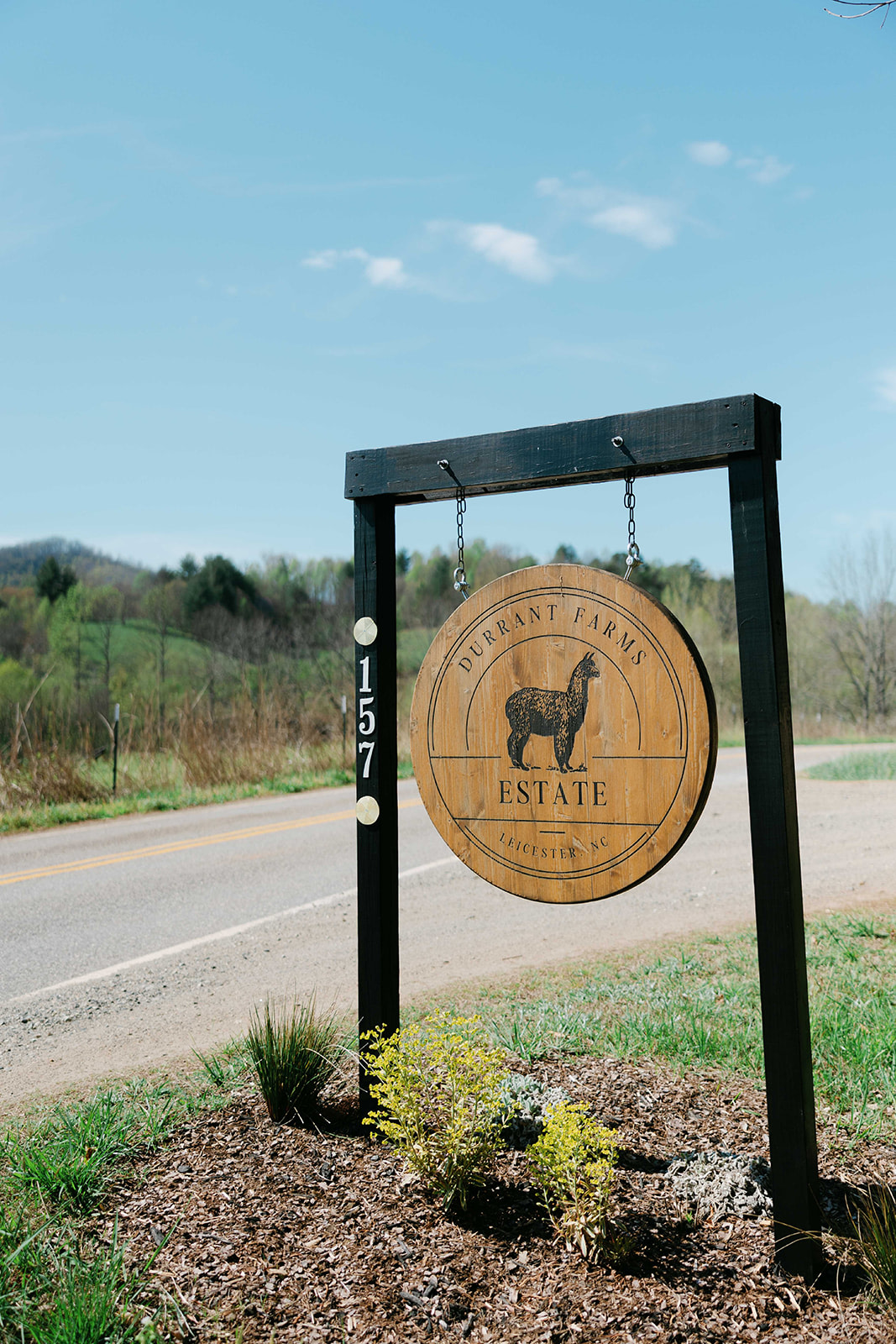 Alpaca Farm Camping Near Asheville