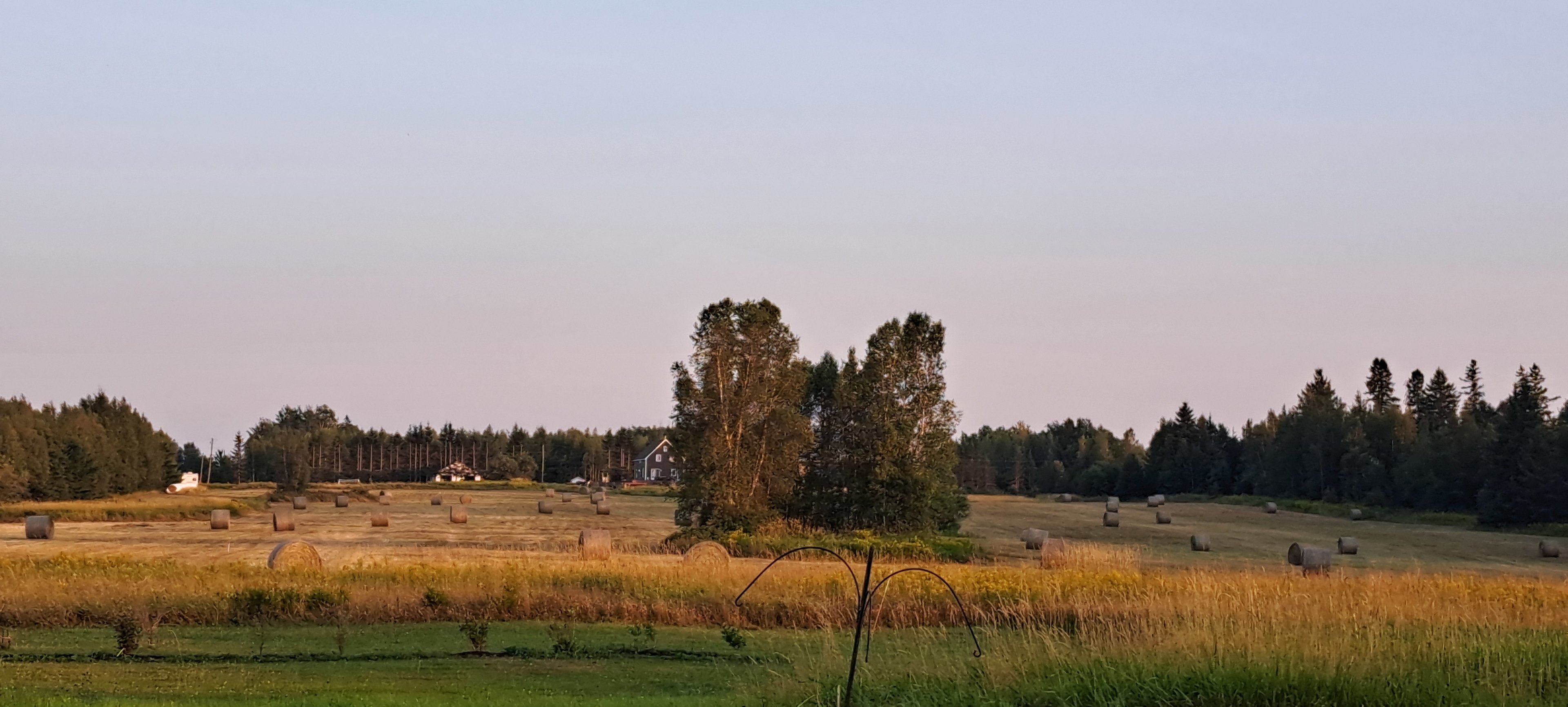 Spirit Homestead