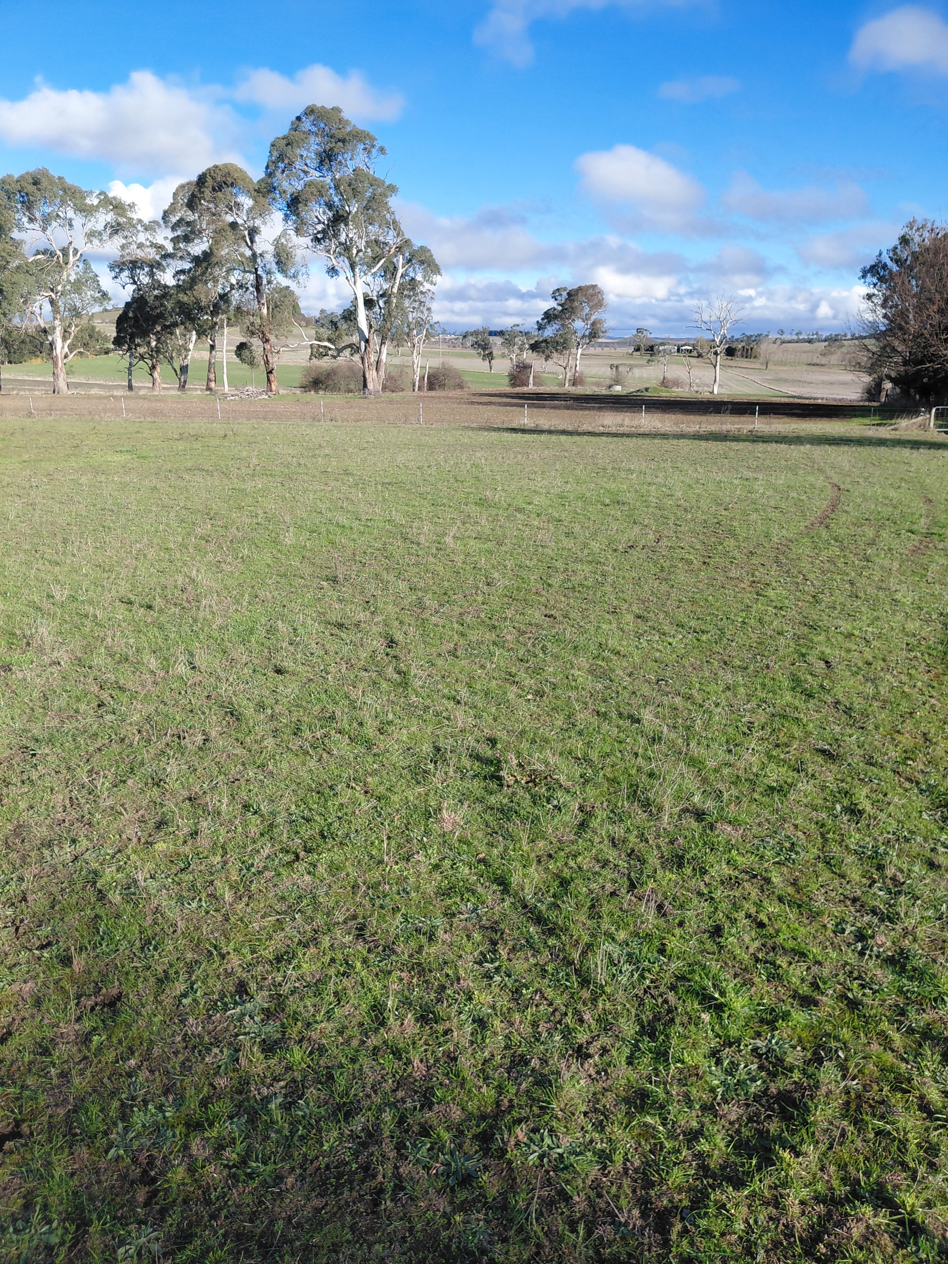 Pleasant Pastures
