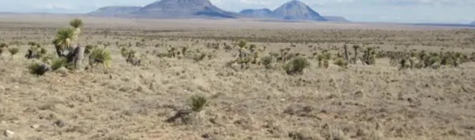 West Texas Stargazer Private Ranch