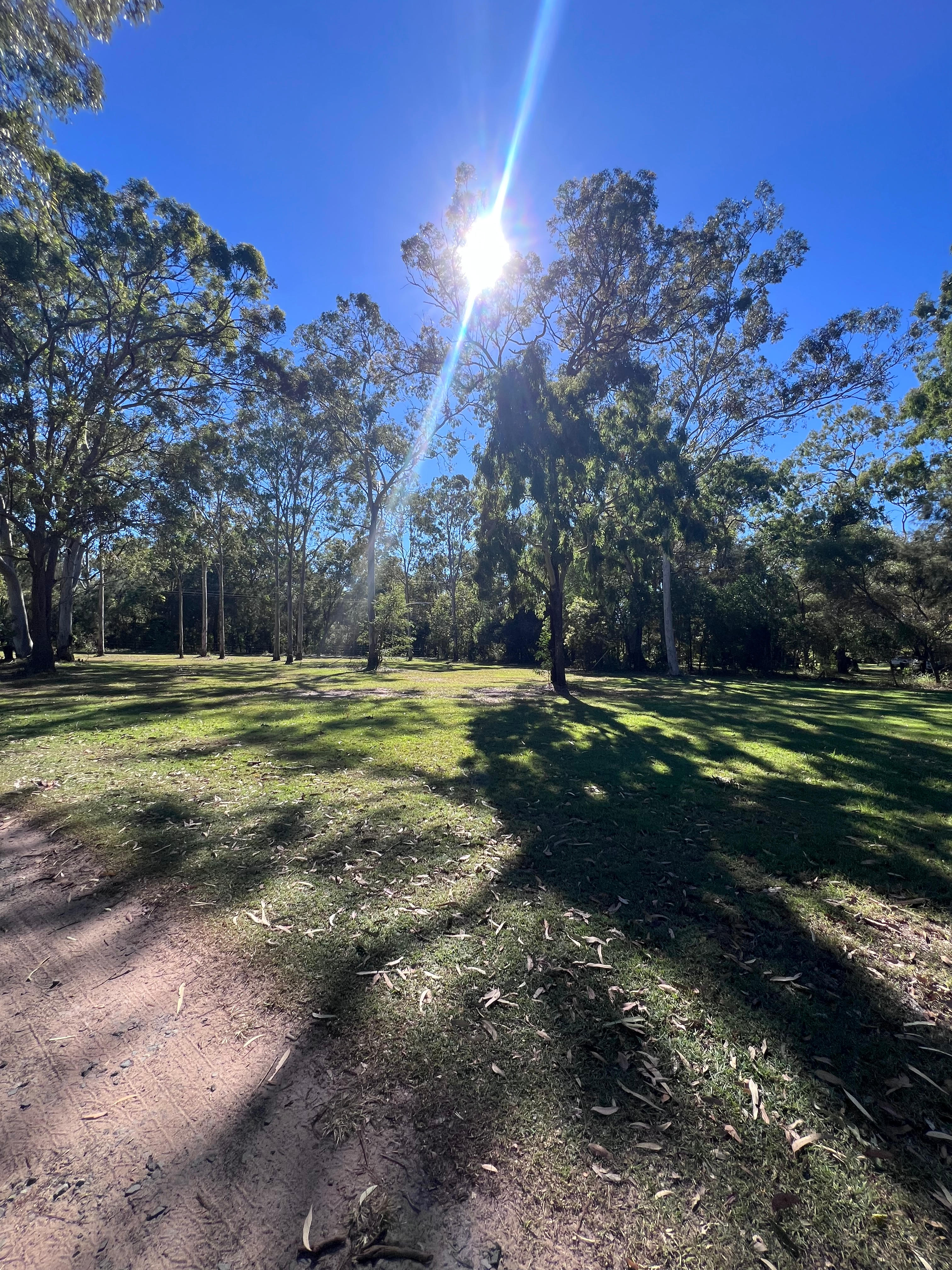 The Friendly Paddock - Hervey Bay