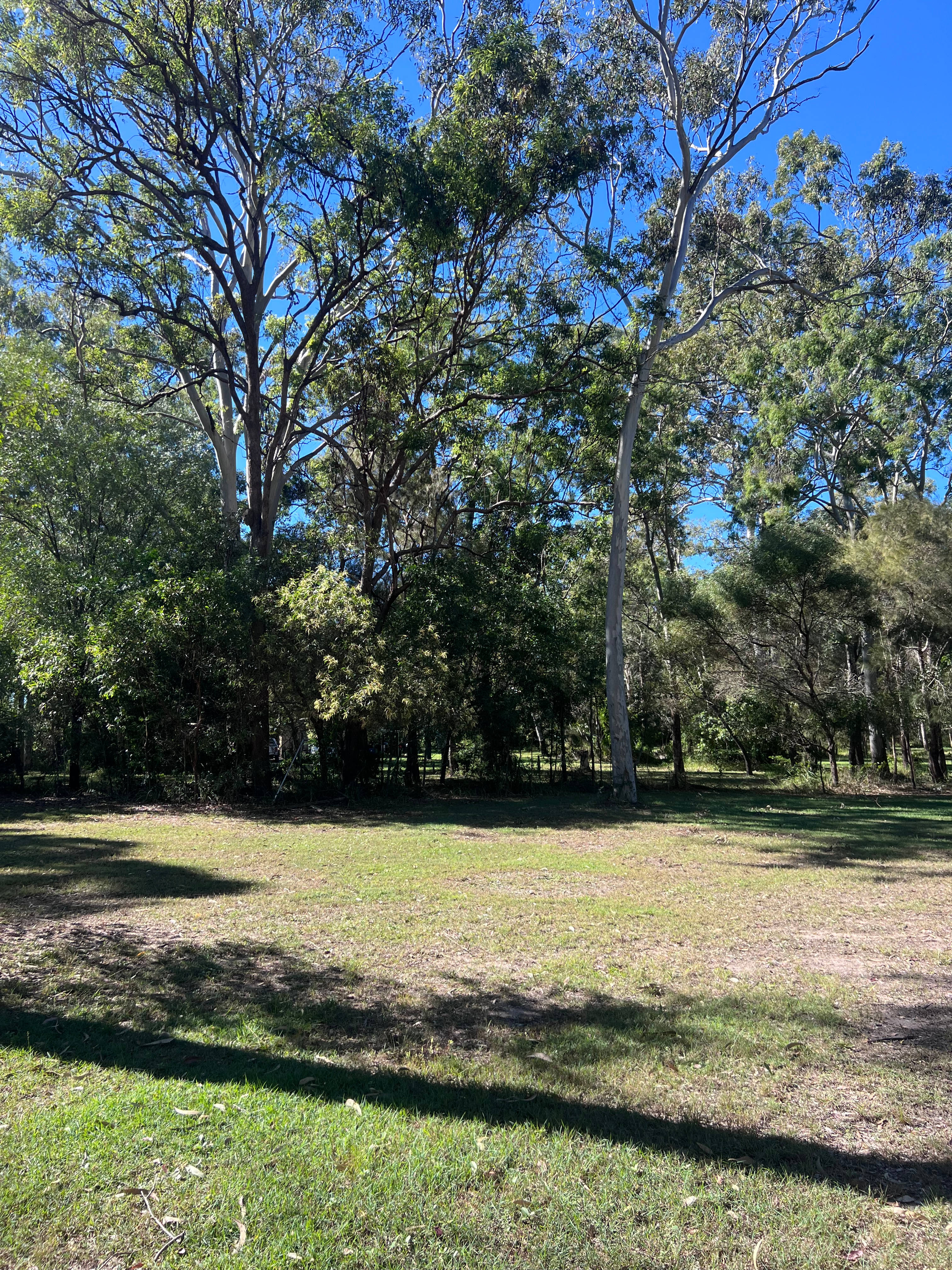 The Friendly Paddock - Hervey Bay