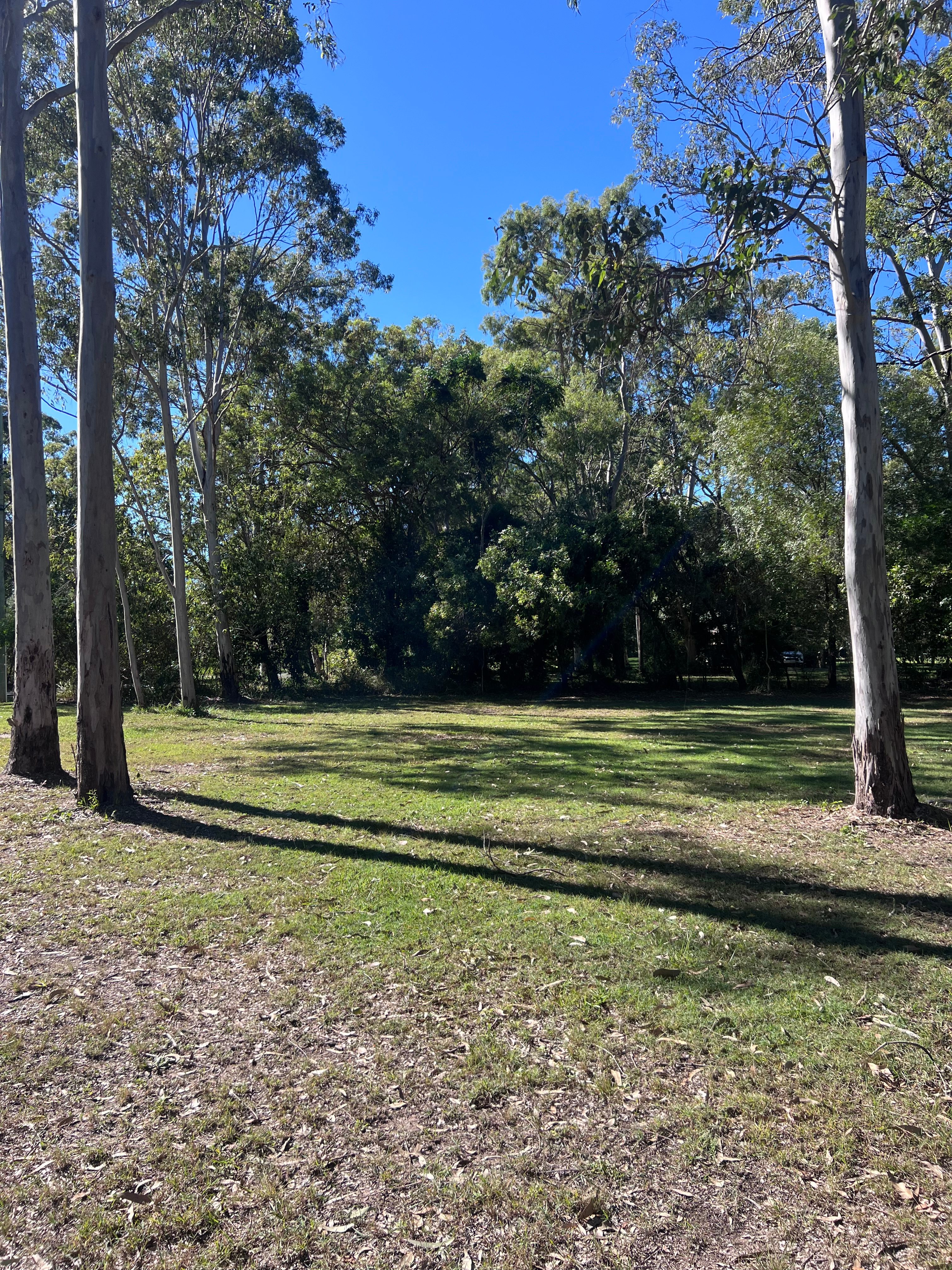 The Friendly Paddock - Hervey Bay