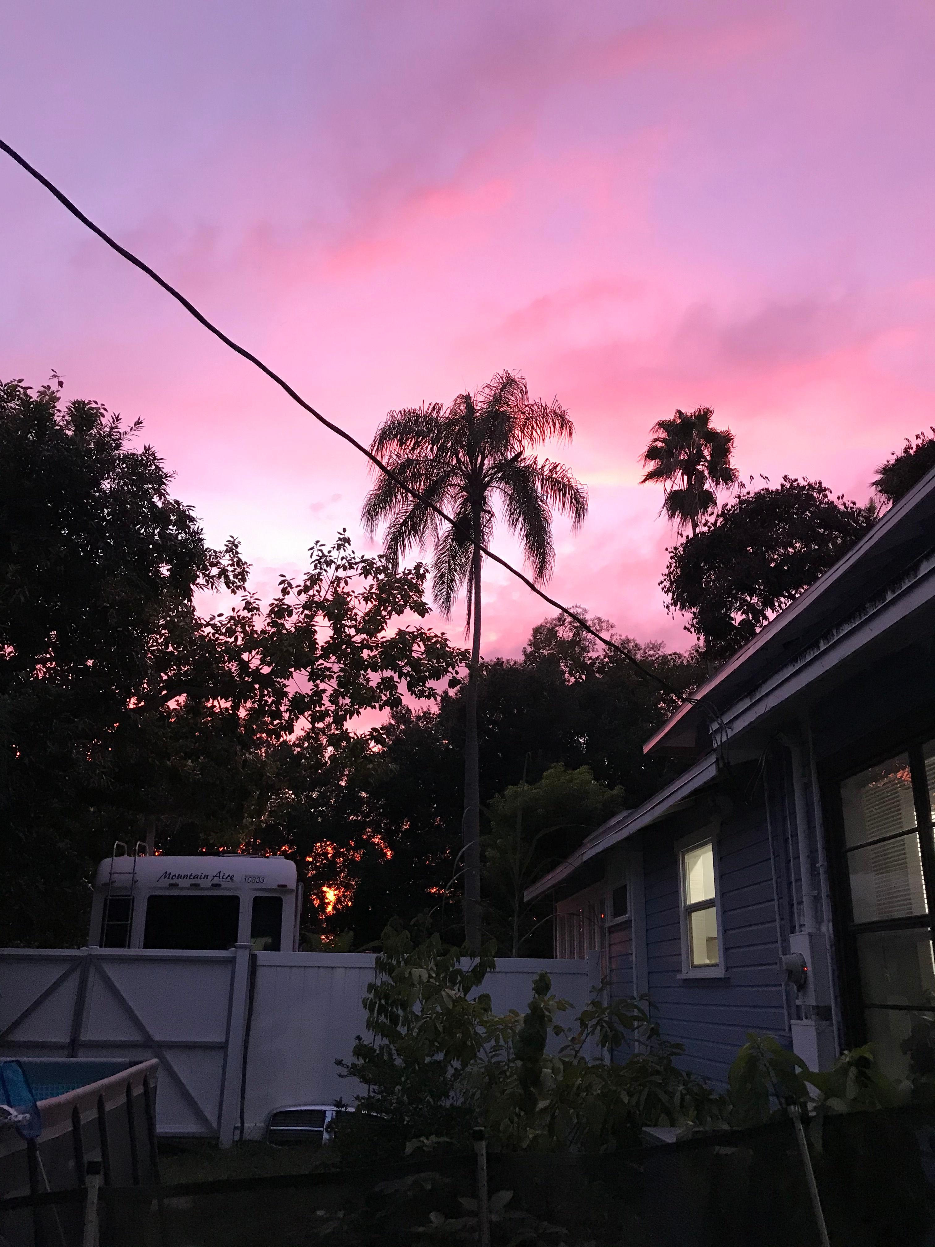 Manatee river spot