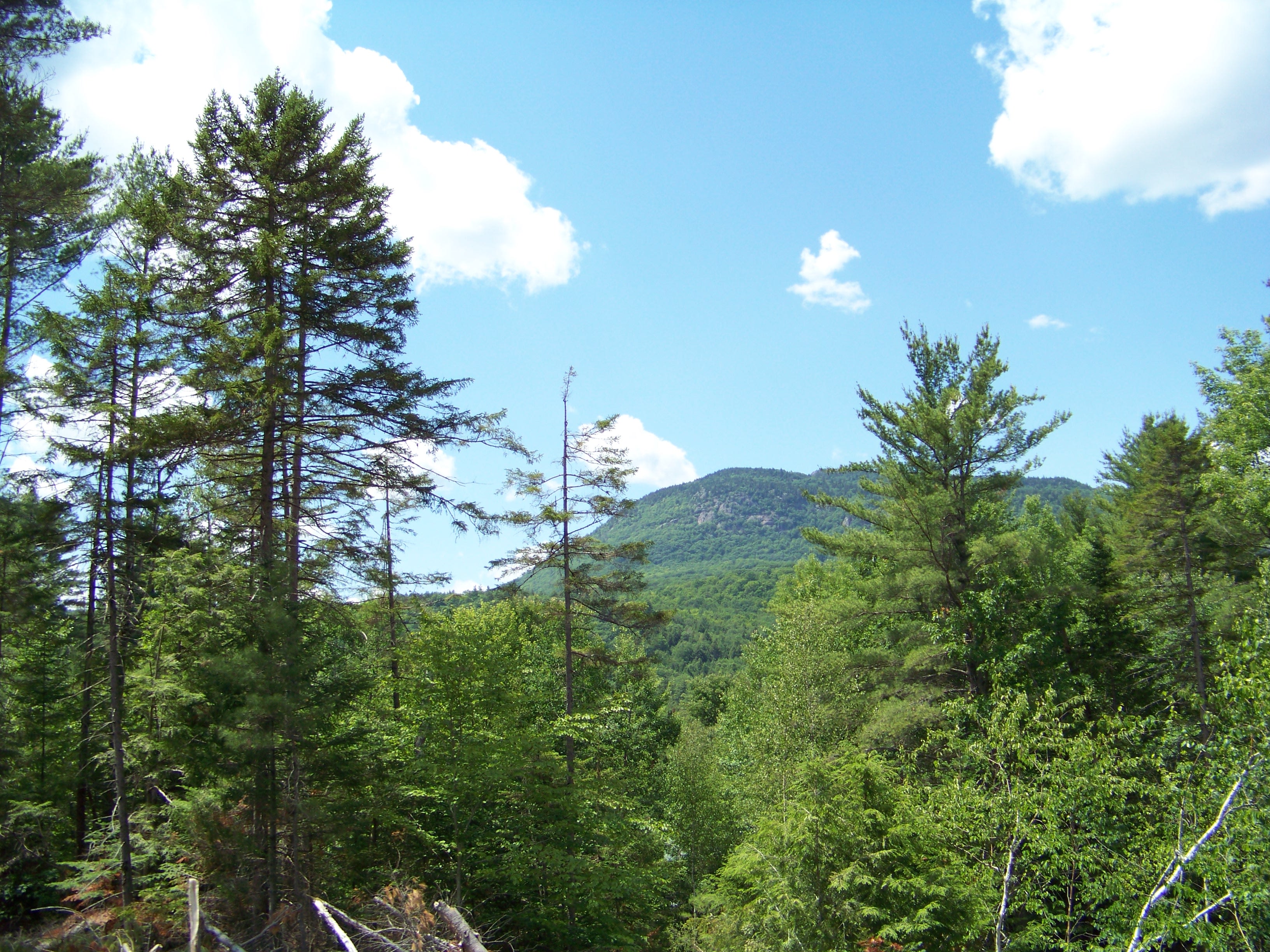 View of Crane Mountain