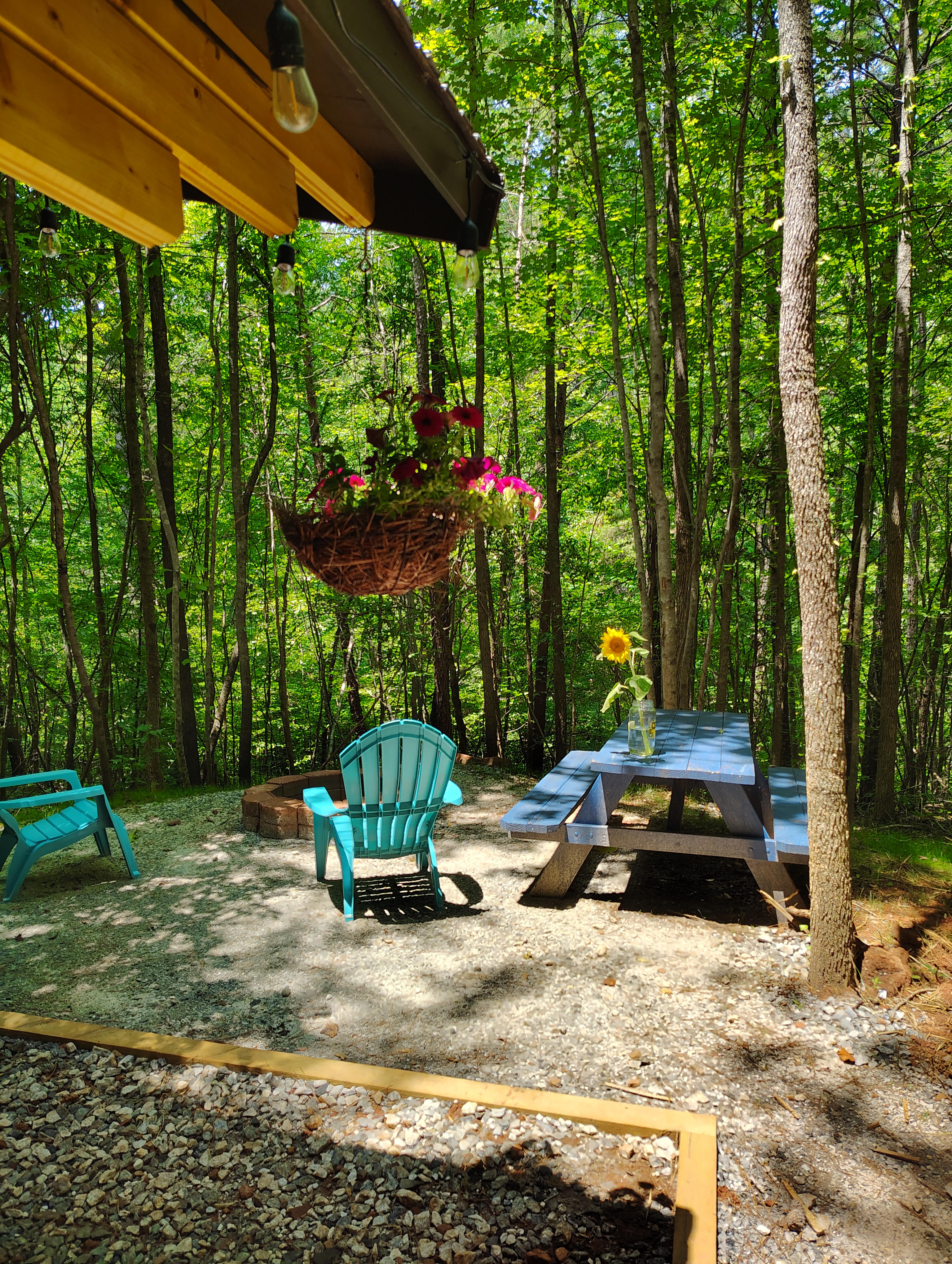 Deluxe Off Grid Lodging at Black Sheep Homestead
