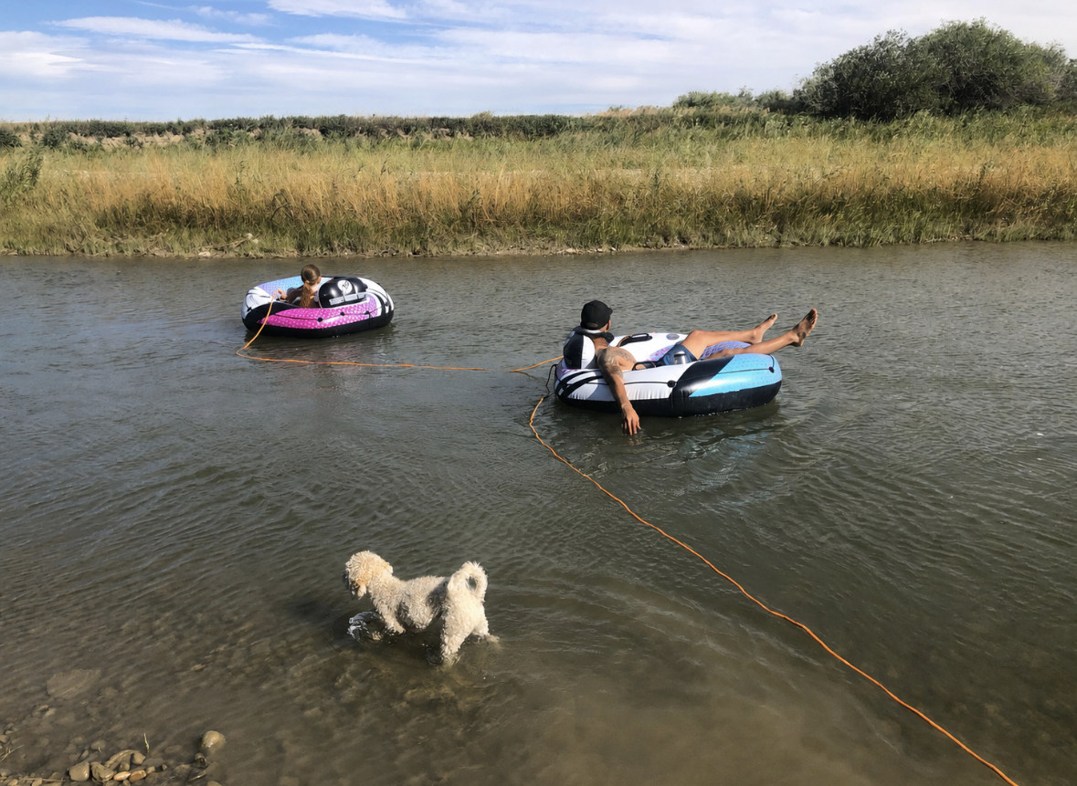 Willow Creek Brewery & Camping
