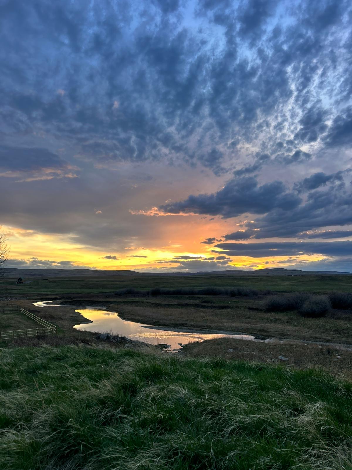 Willow Creek Brewery & Camping