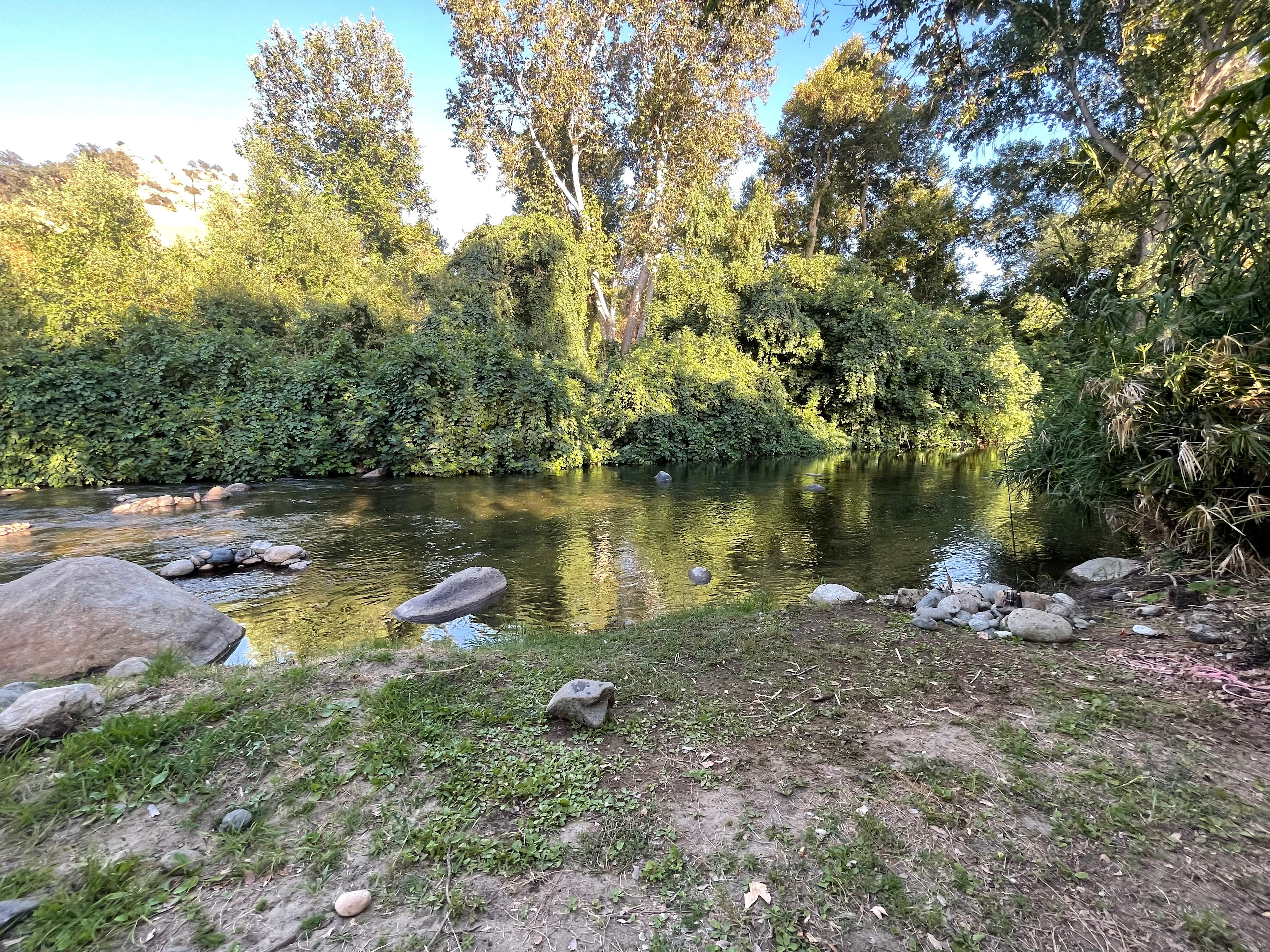 Down by the river