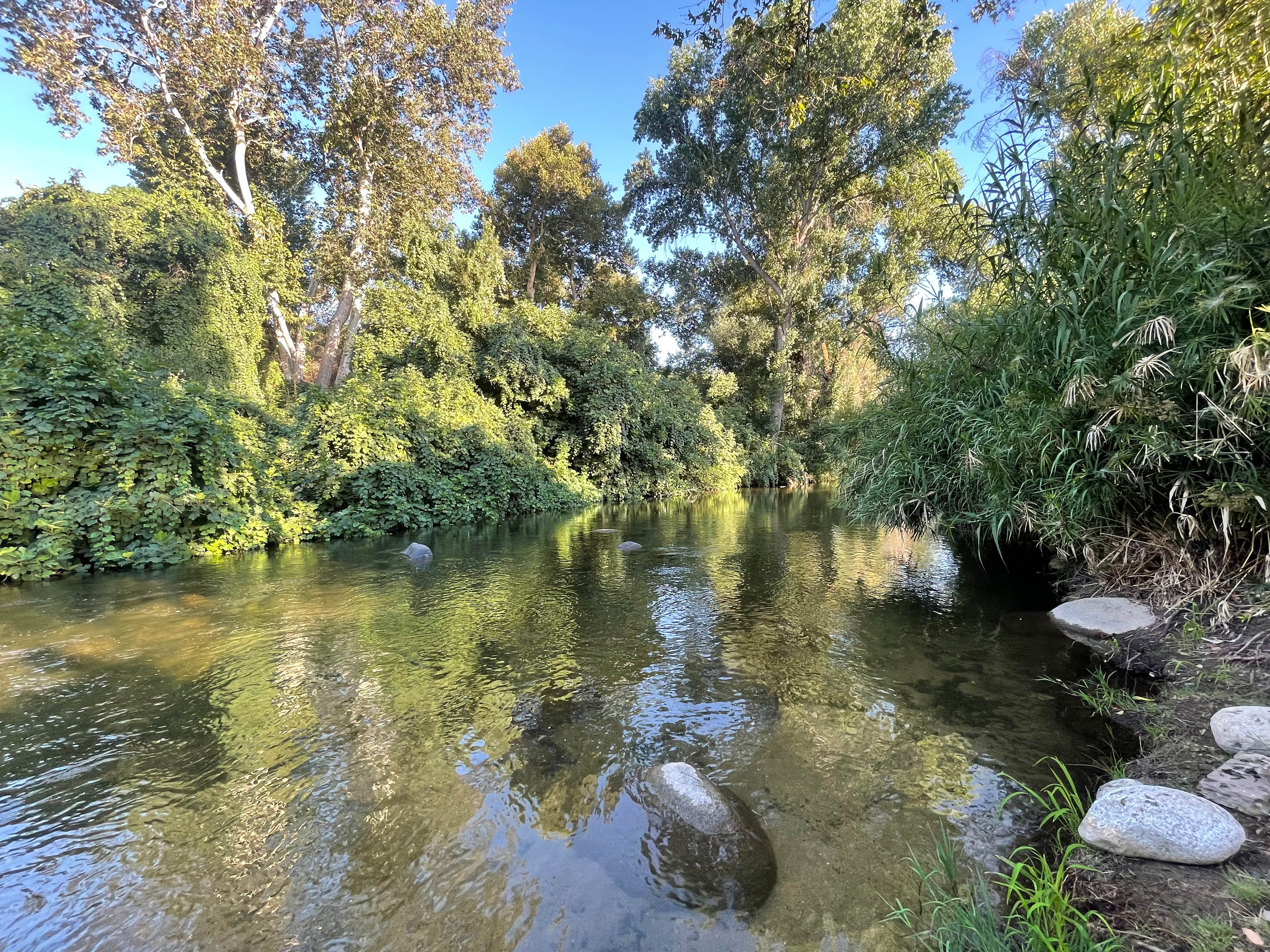 Down by the river