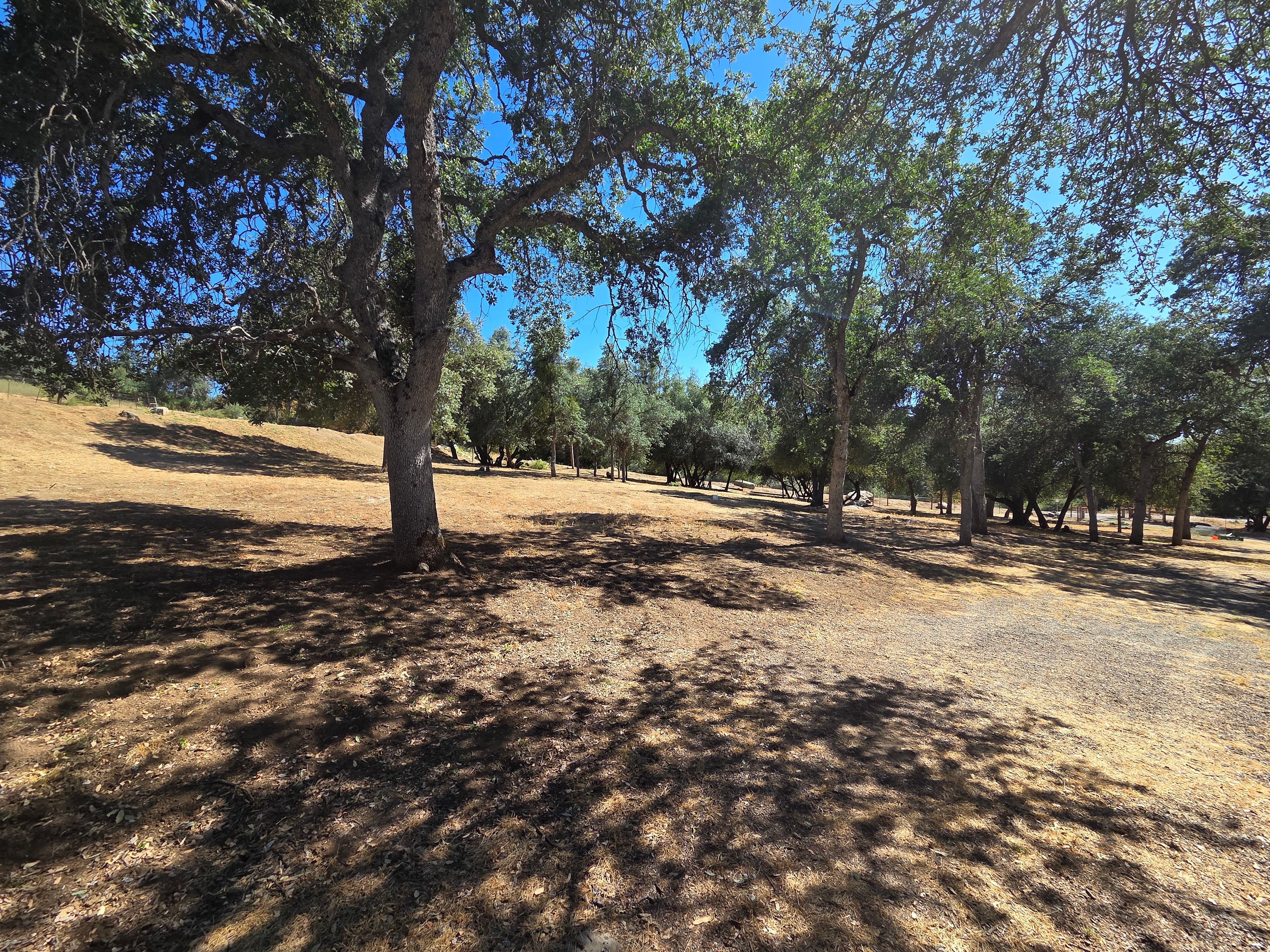 Two Toe Ranch Goat Farm