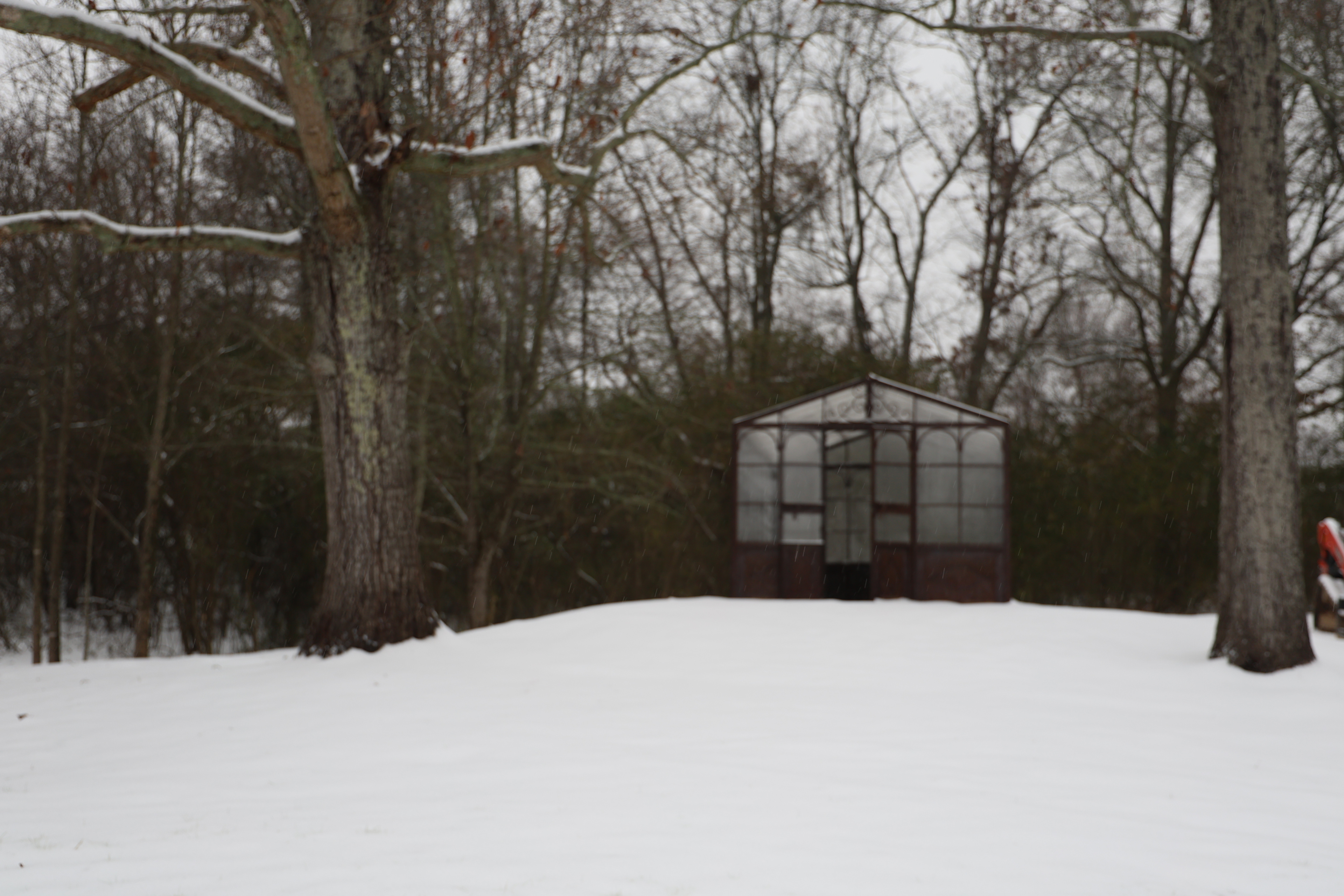 Meadow Song Sanctuary @ The Barn On Grandview