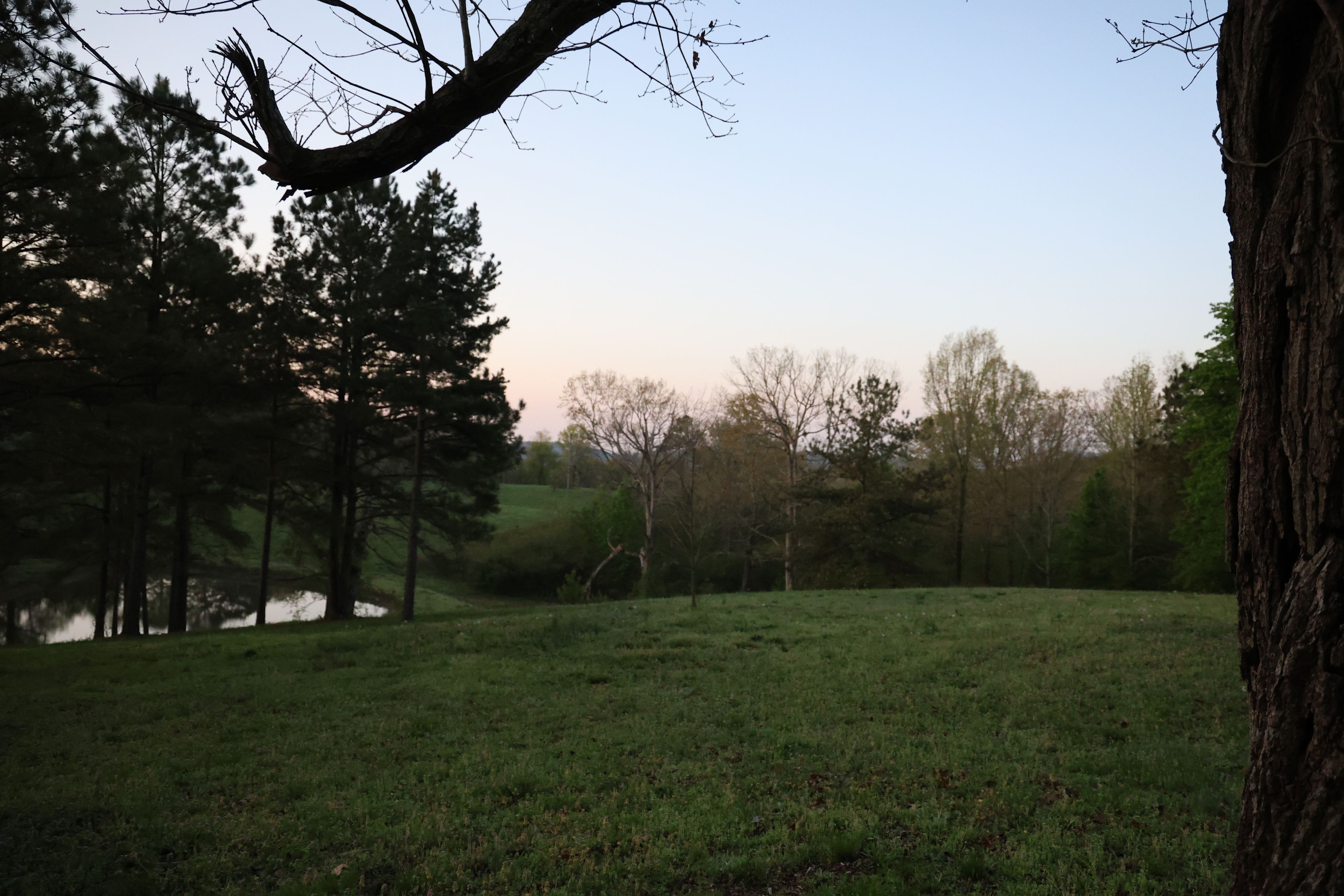 Meadow Song Sanctuary @ The Barn On Grandview