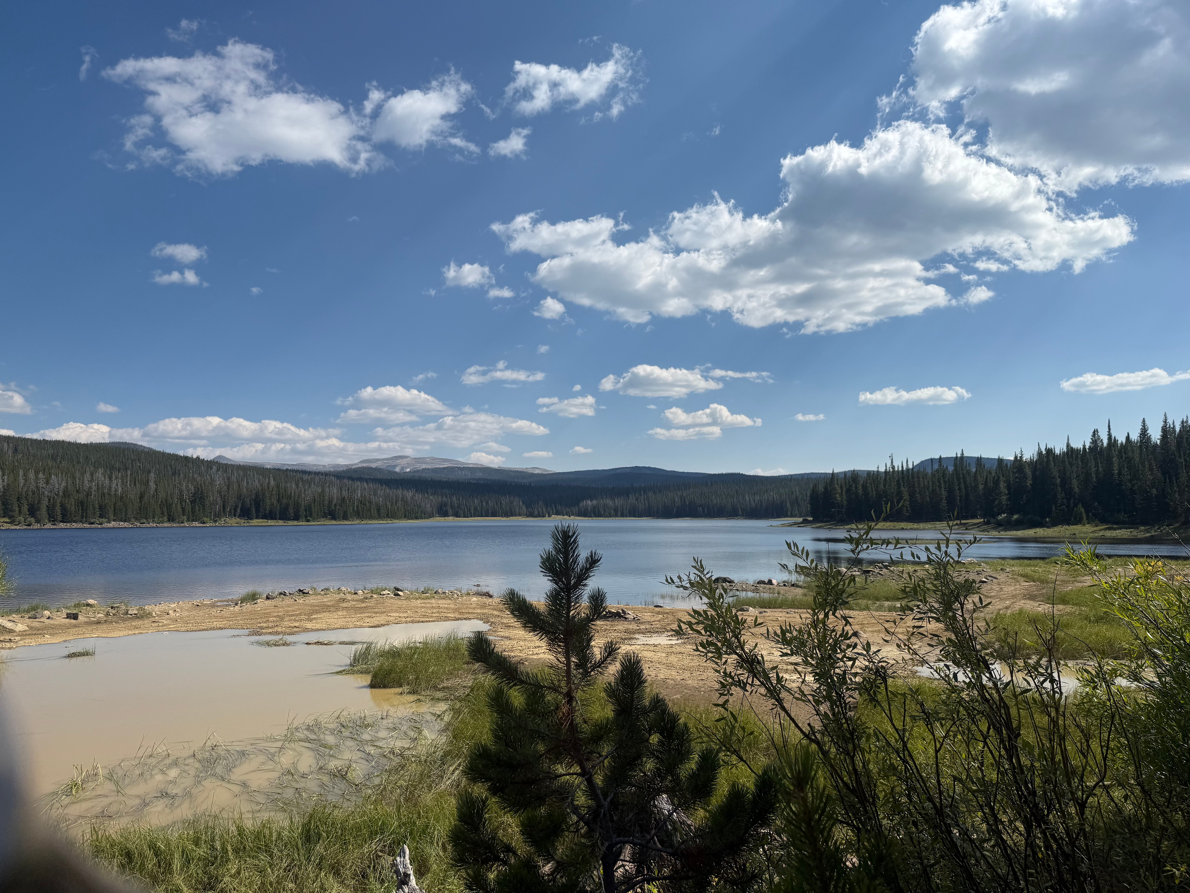 Peaceful Getaway In The Wild West!