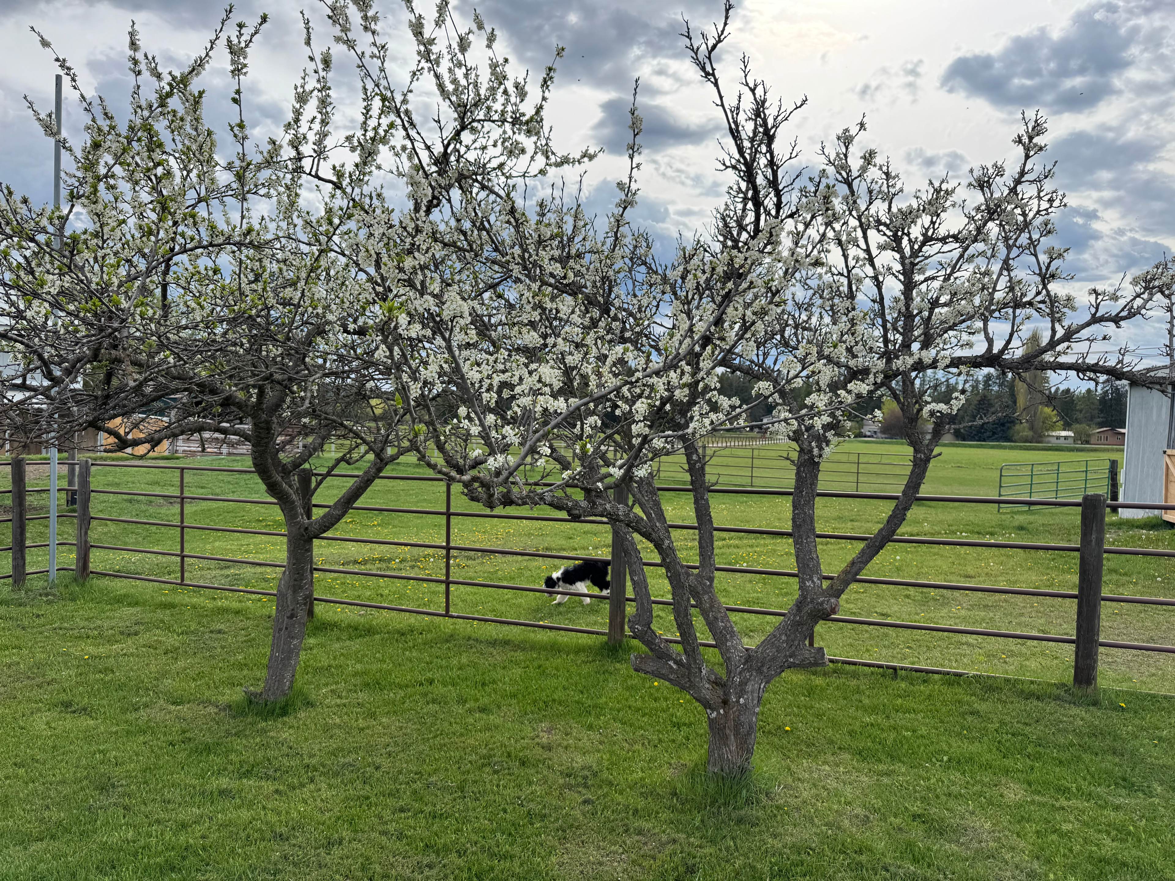 Craft Ranch