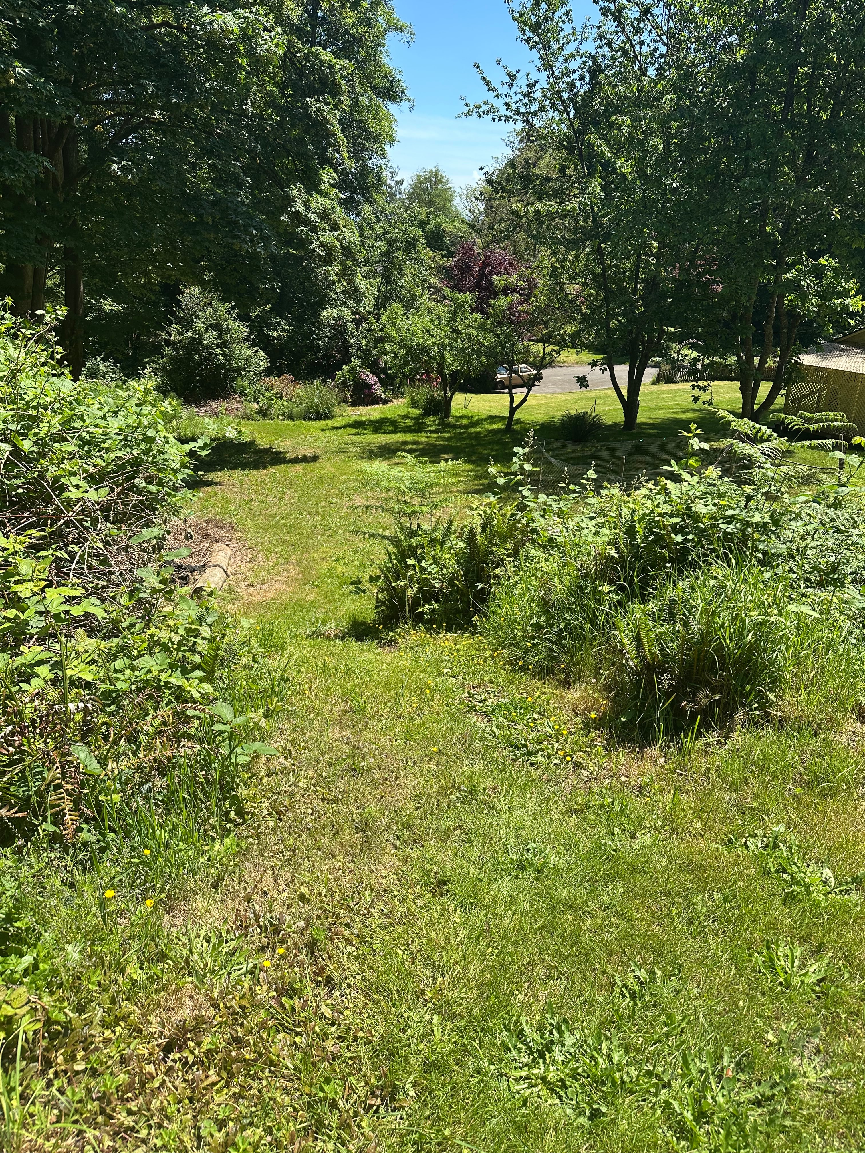 Two campsites in lower field below the house. A walk downhill to access, best spots are mowed. There is water via a hose and a clothesline.