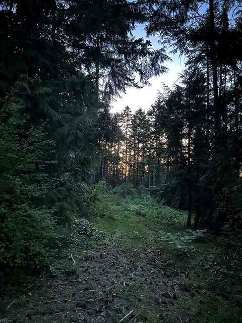 Raysong Cabin and Camp Sites