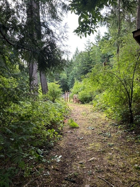 Raysong Cabin and Camp Sites
