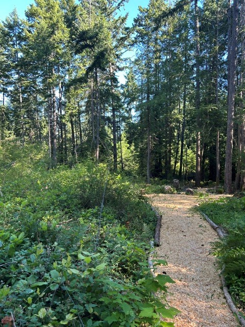 Raysong Cabin and Camp Sites