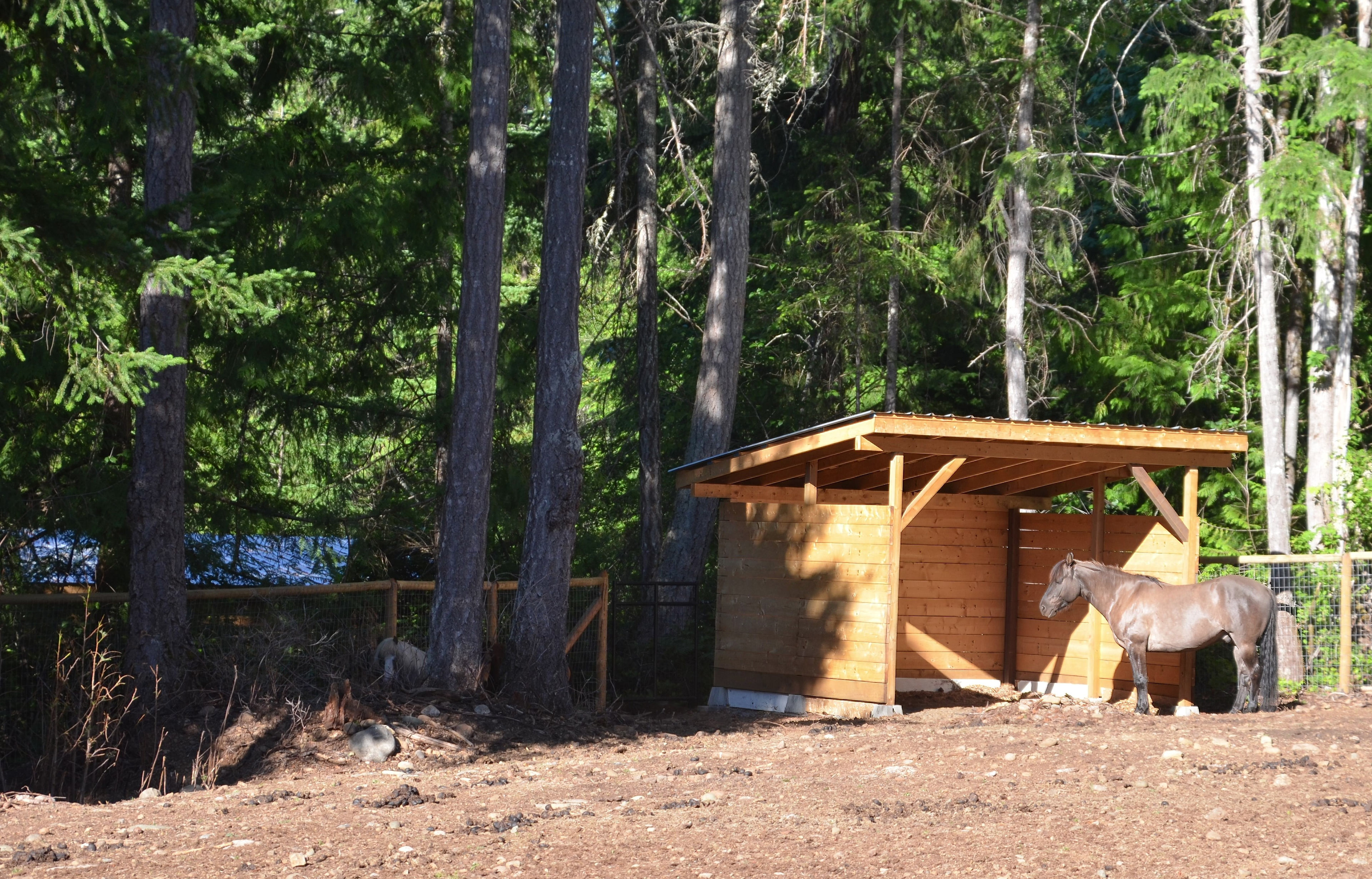 Raysong Cabin and Camp Sites