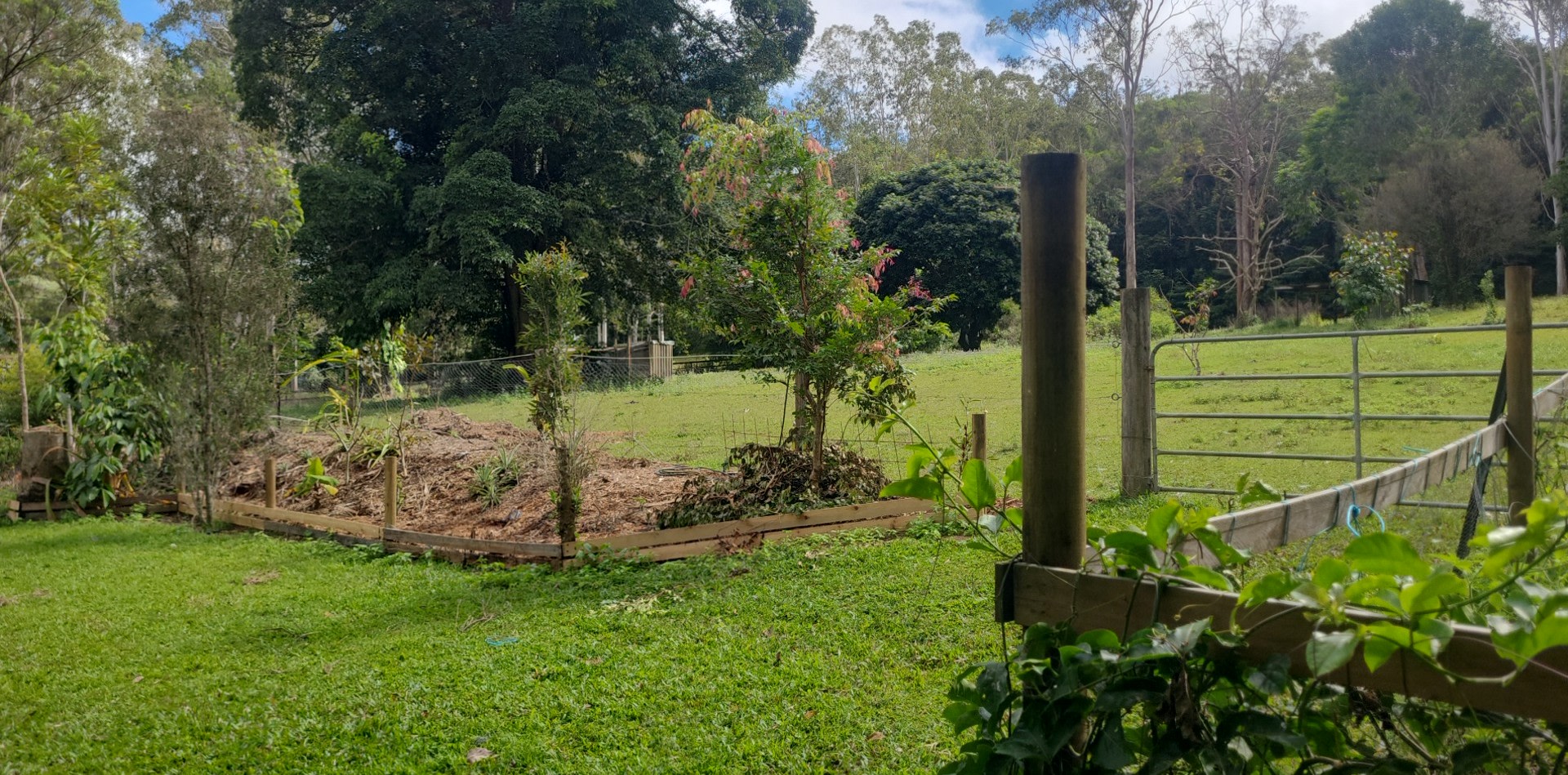 Permaculture and Pup Paradise