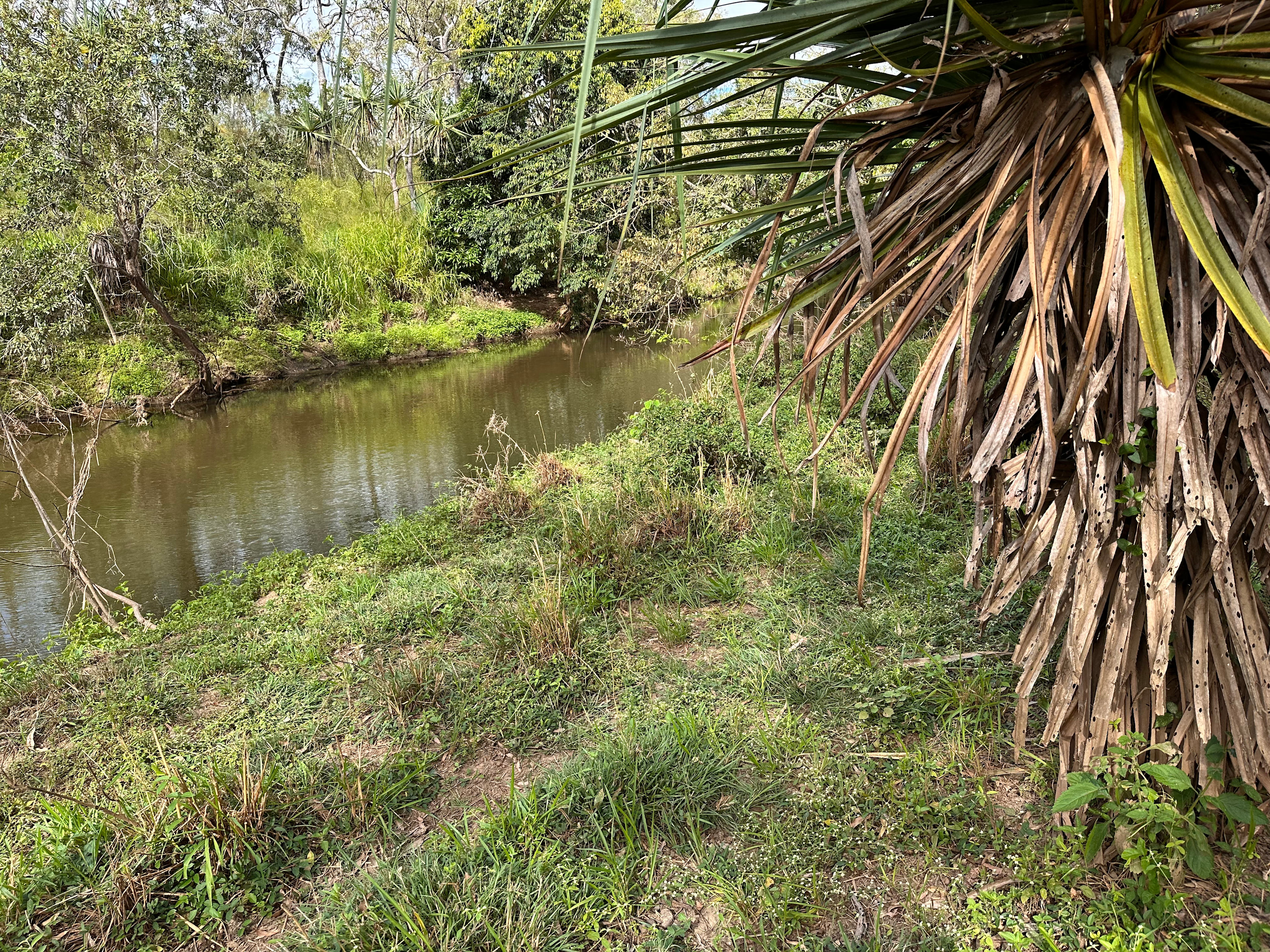 Goanna Gully
