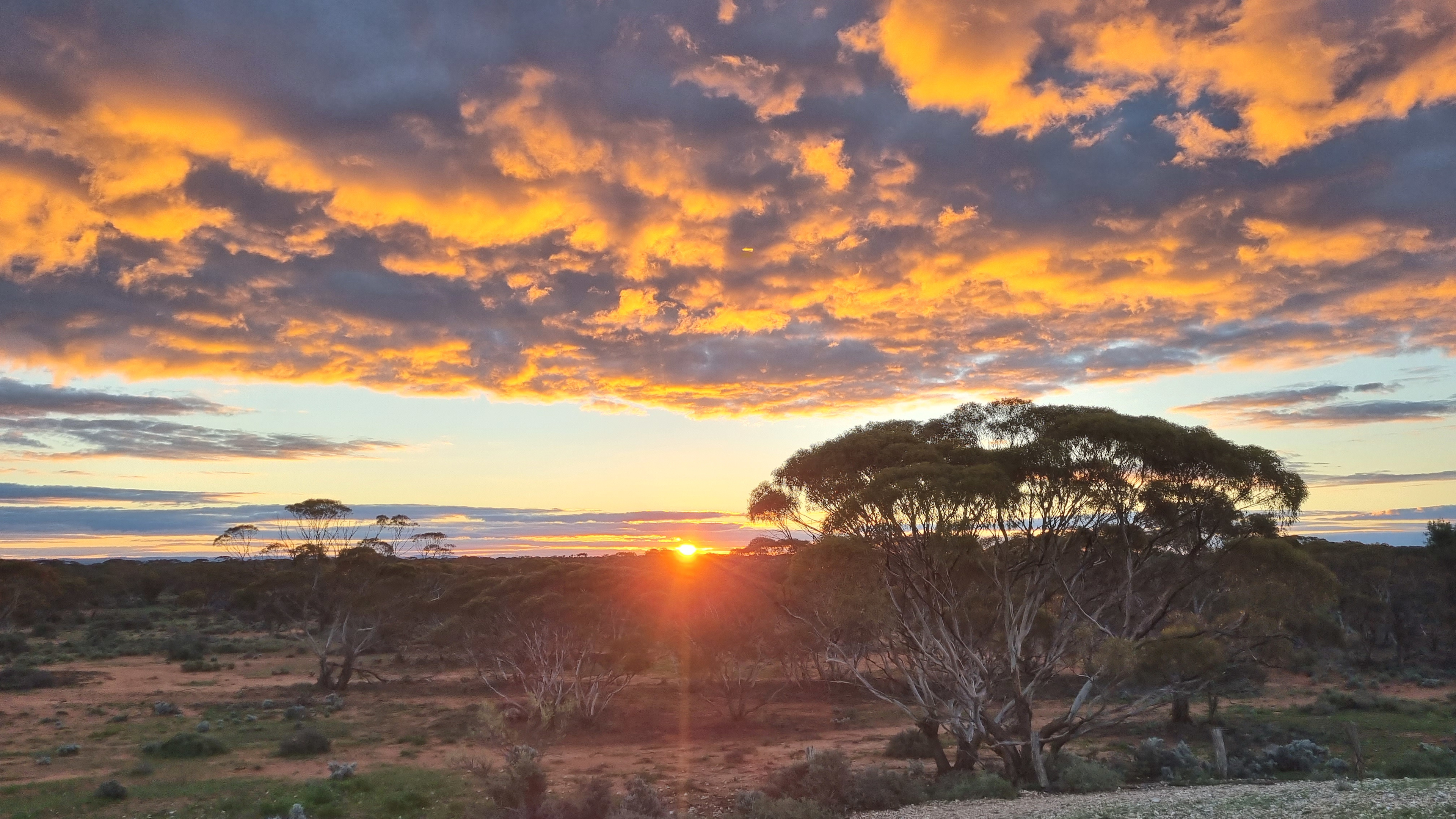 Petticoat Bush Camp