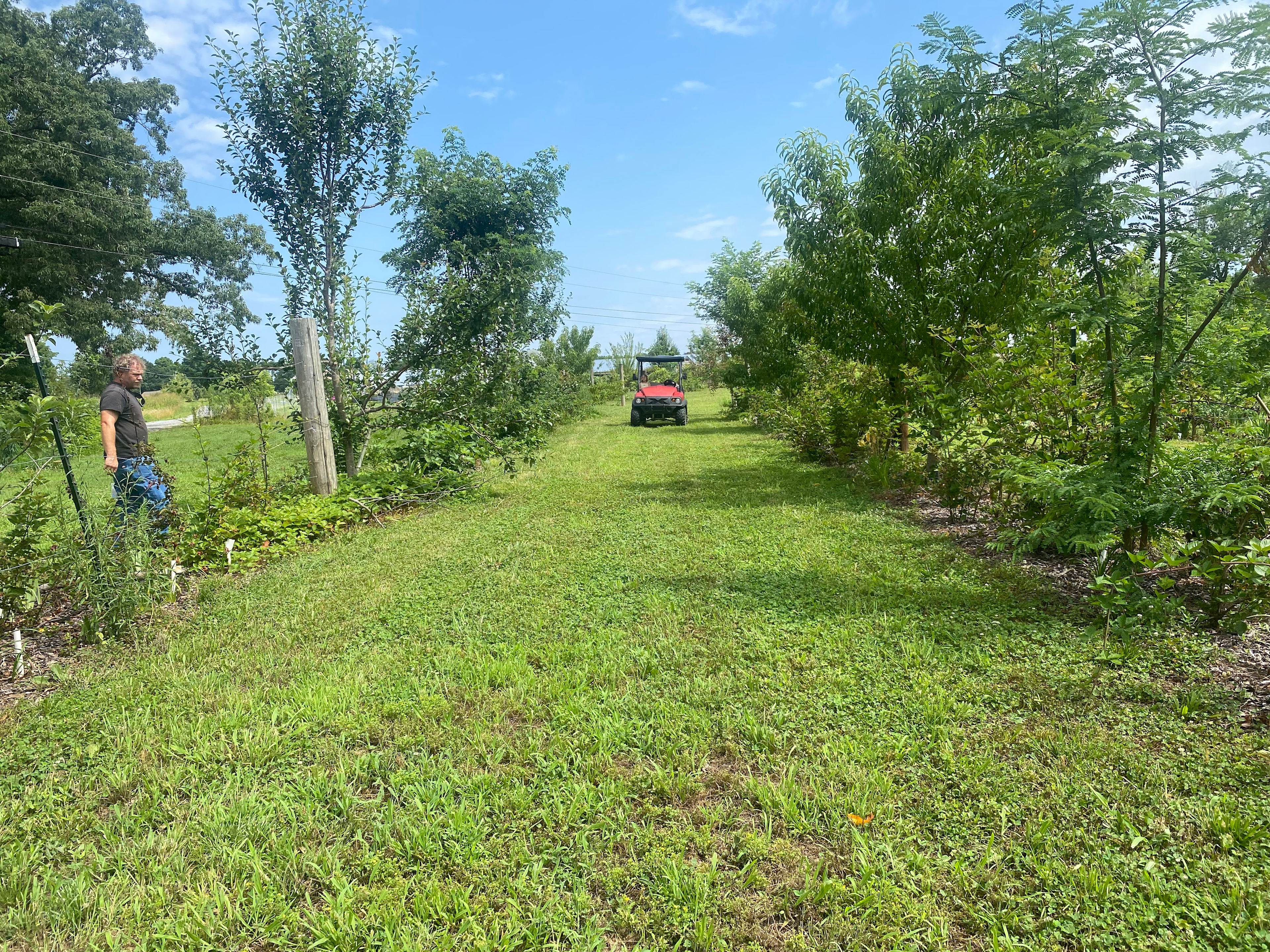 Turtle Pond RV and Farm