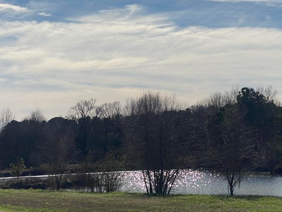 Turtle Pond RV and Farm