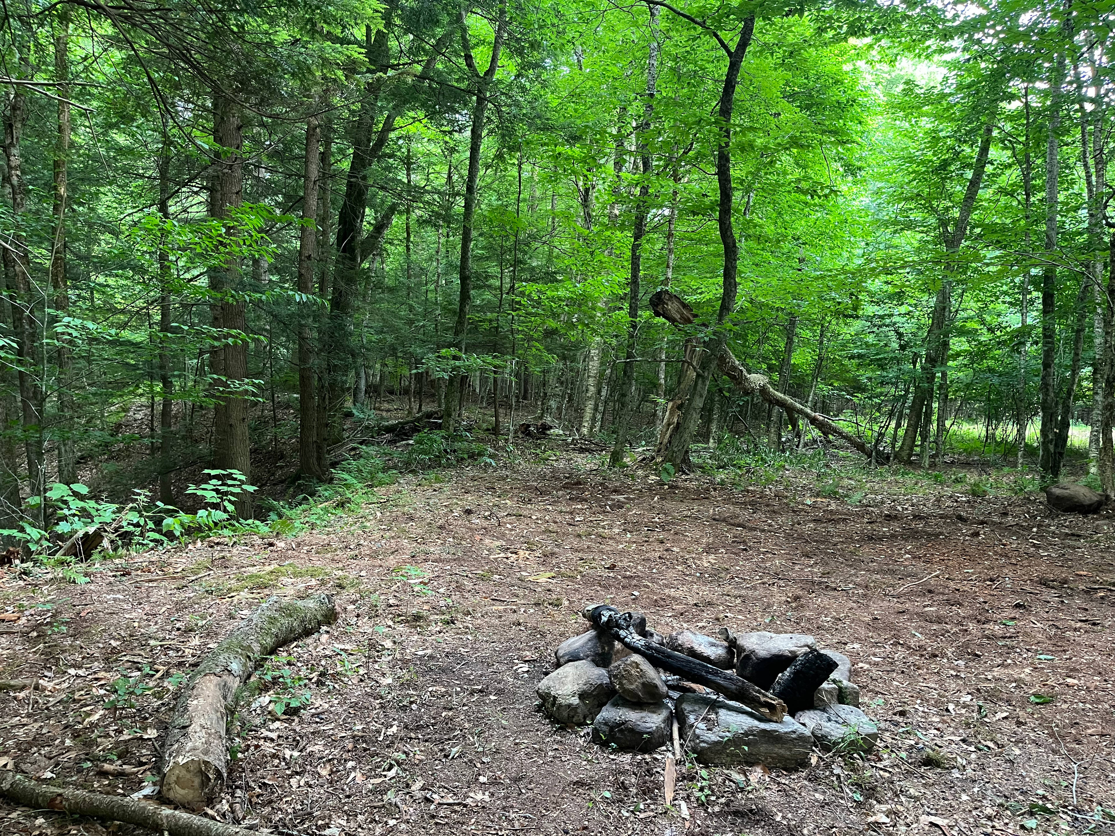Whispering pines Camp