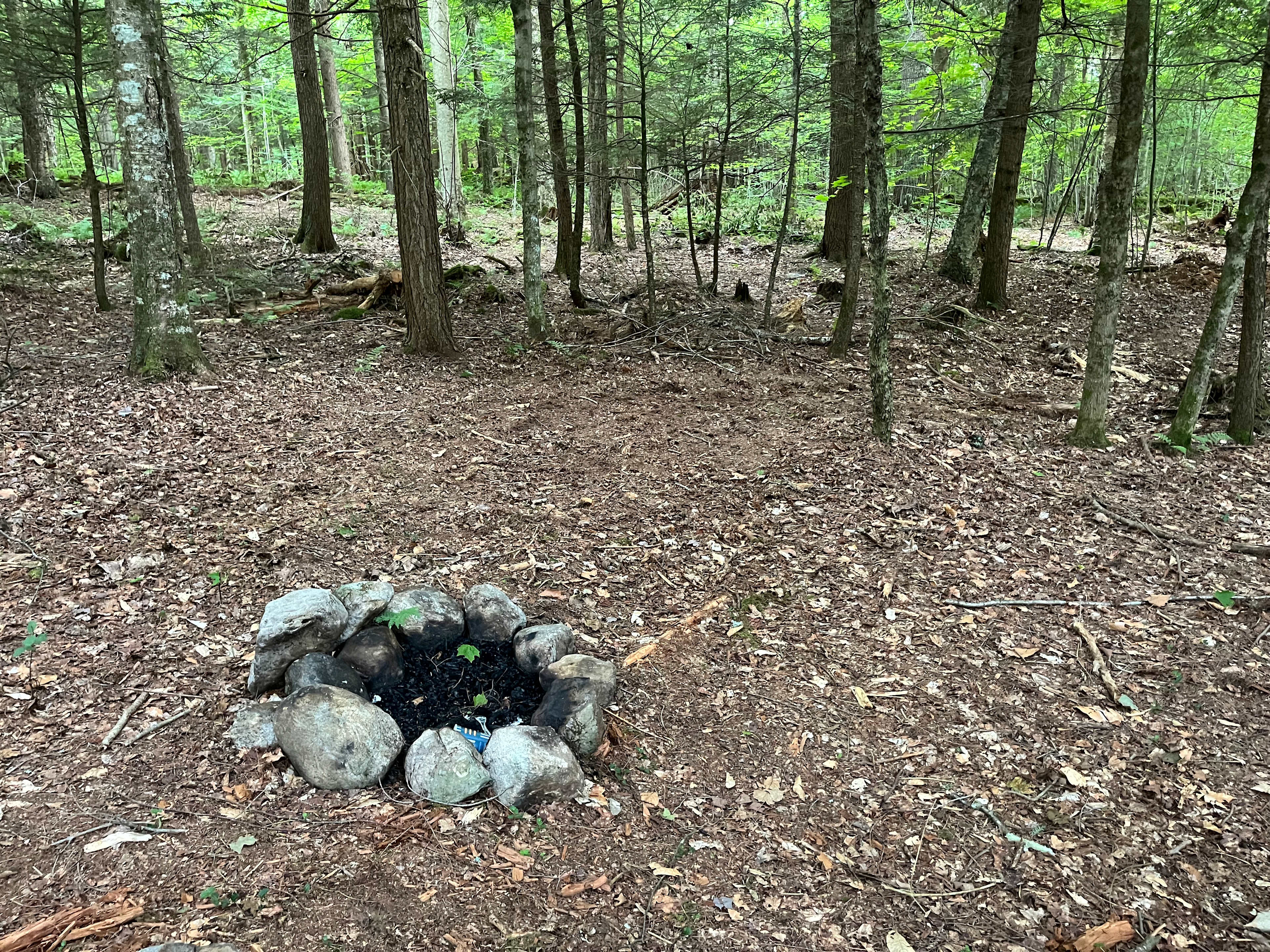 Whispering pines Camp