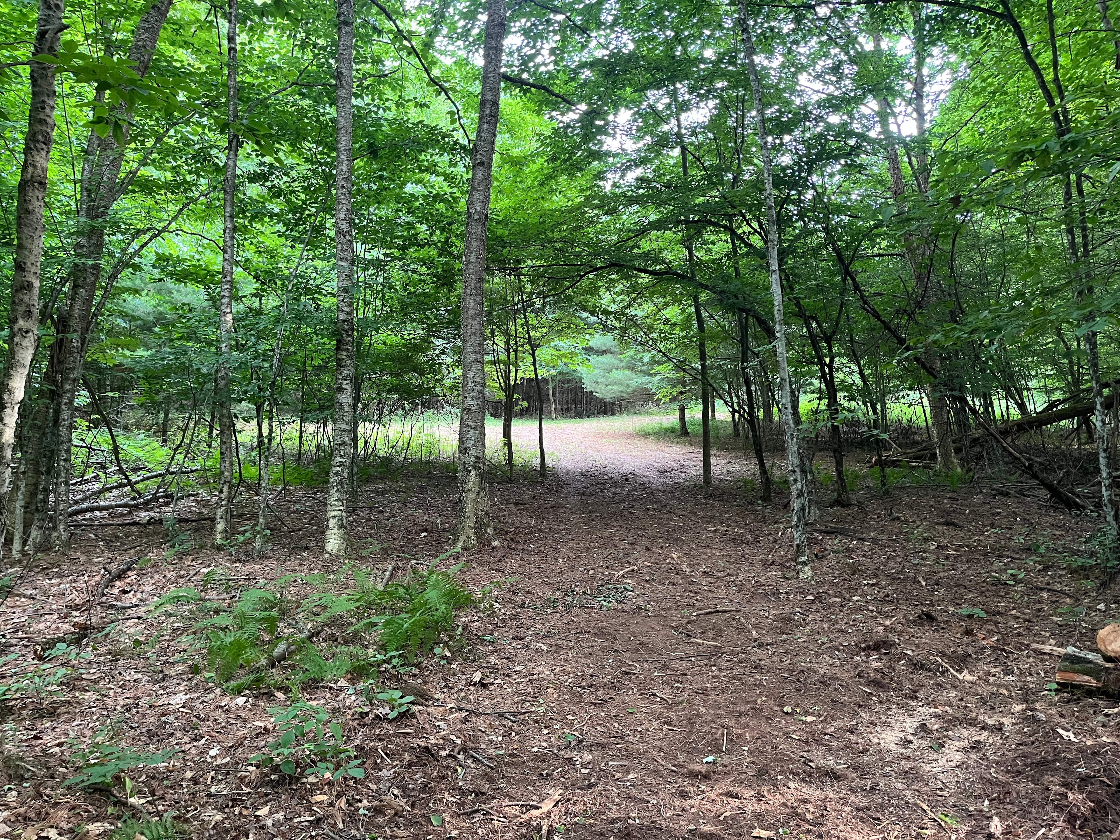 Whispering pines Camp